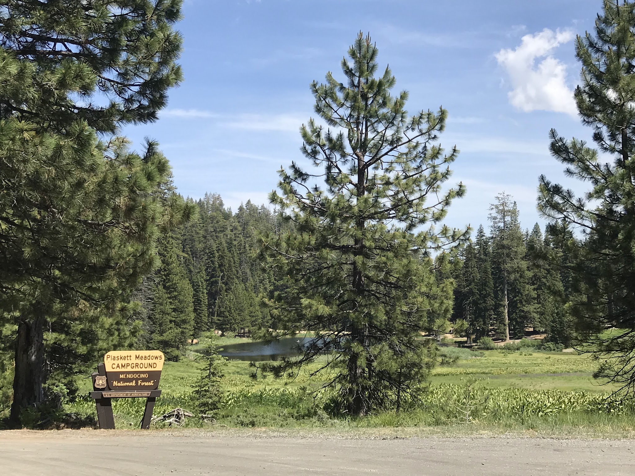 Plaskett Meadows Campground