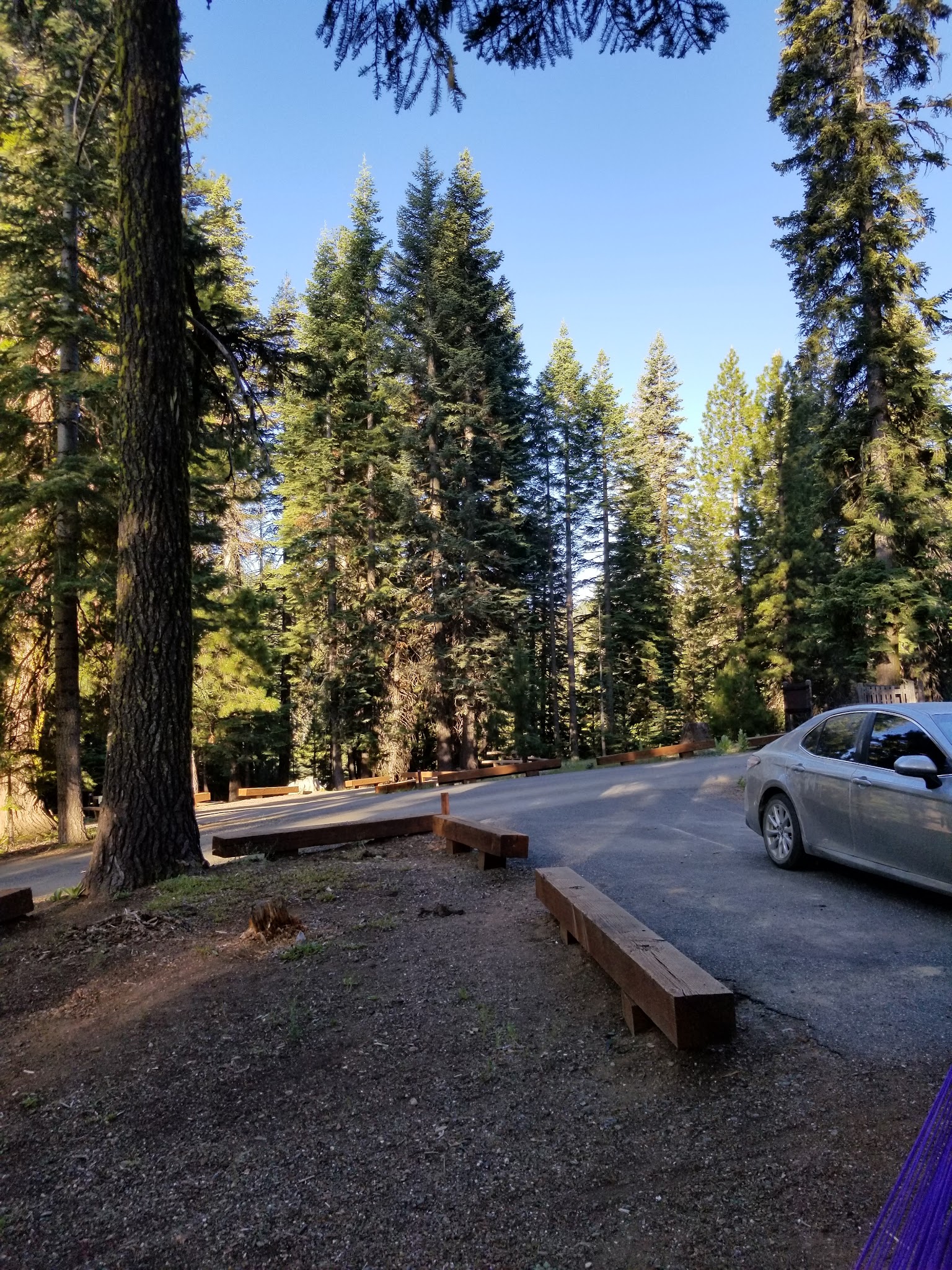 Plaskett Meadows Campground