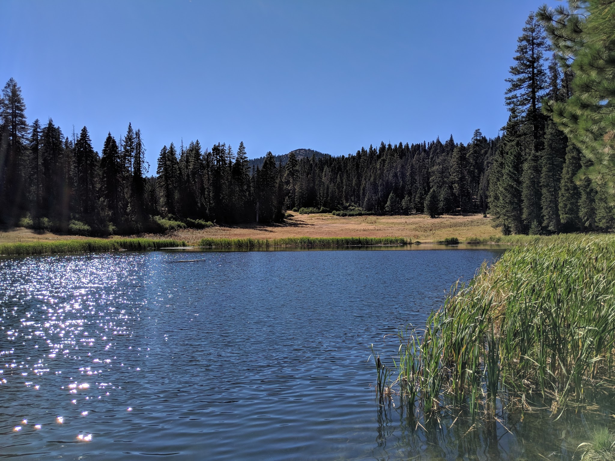 Plaskett Meadows Campground