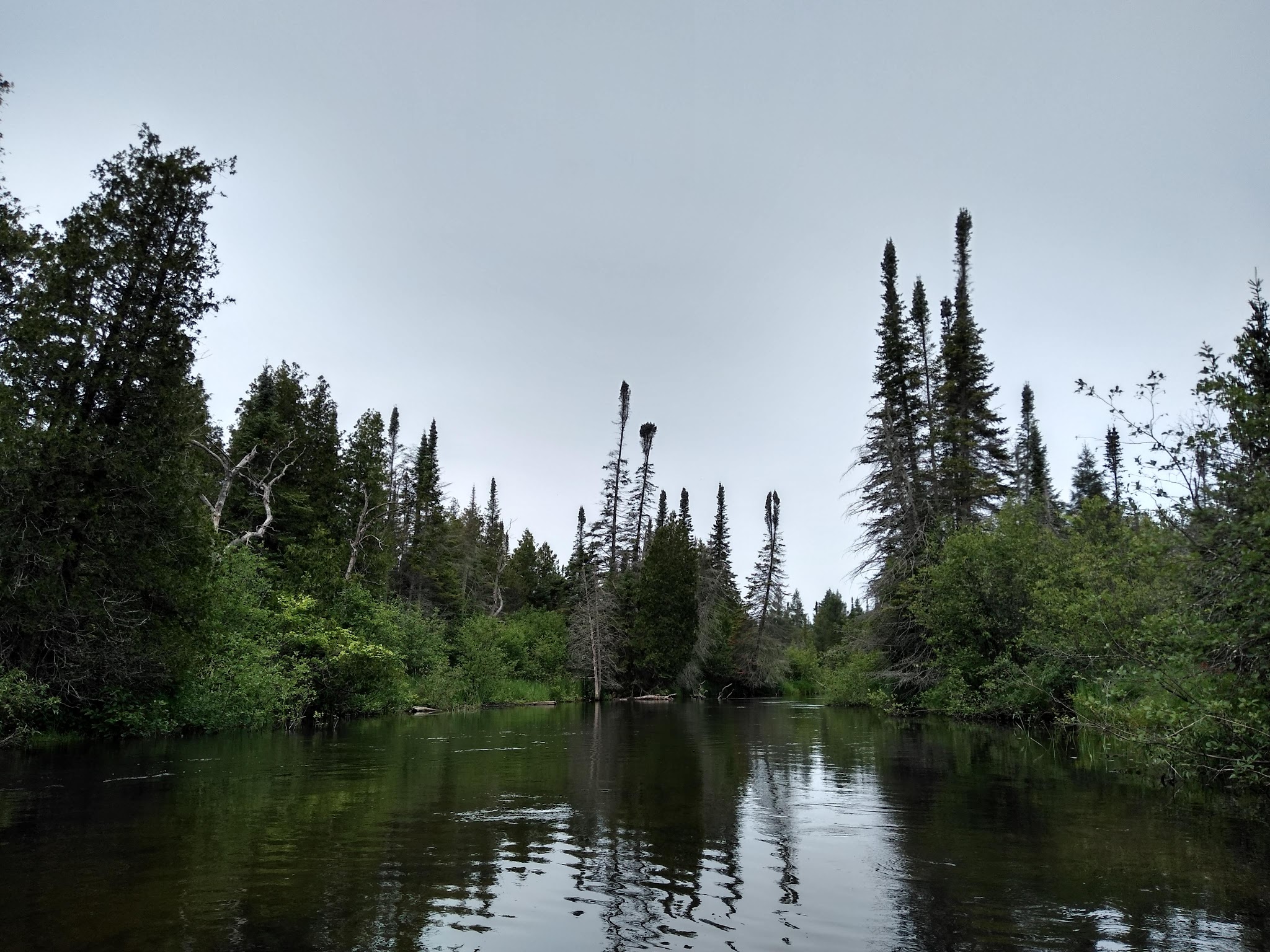 Platte River State Forest Campground