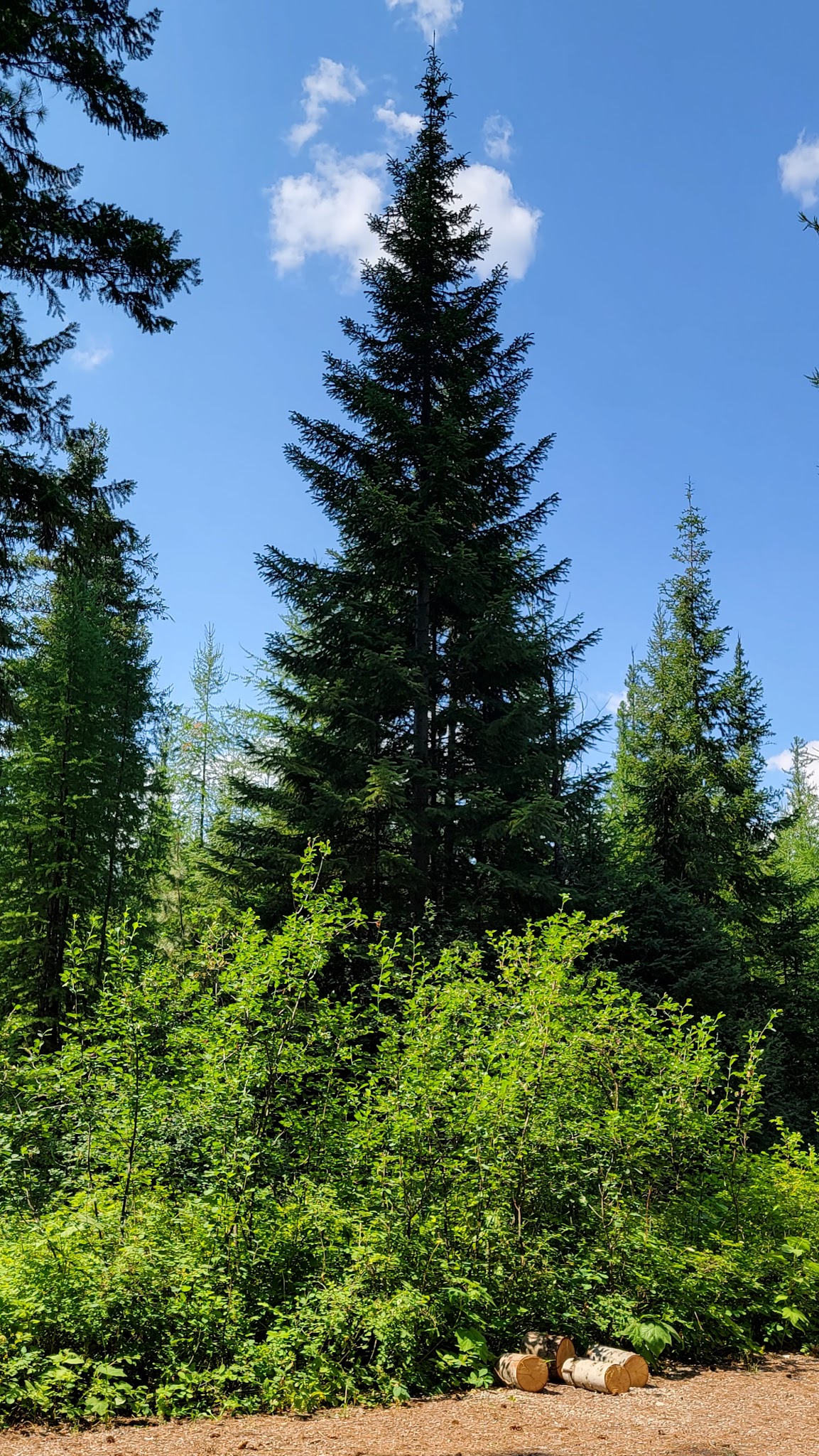 Pleasant Valley Campground