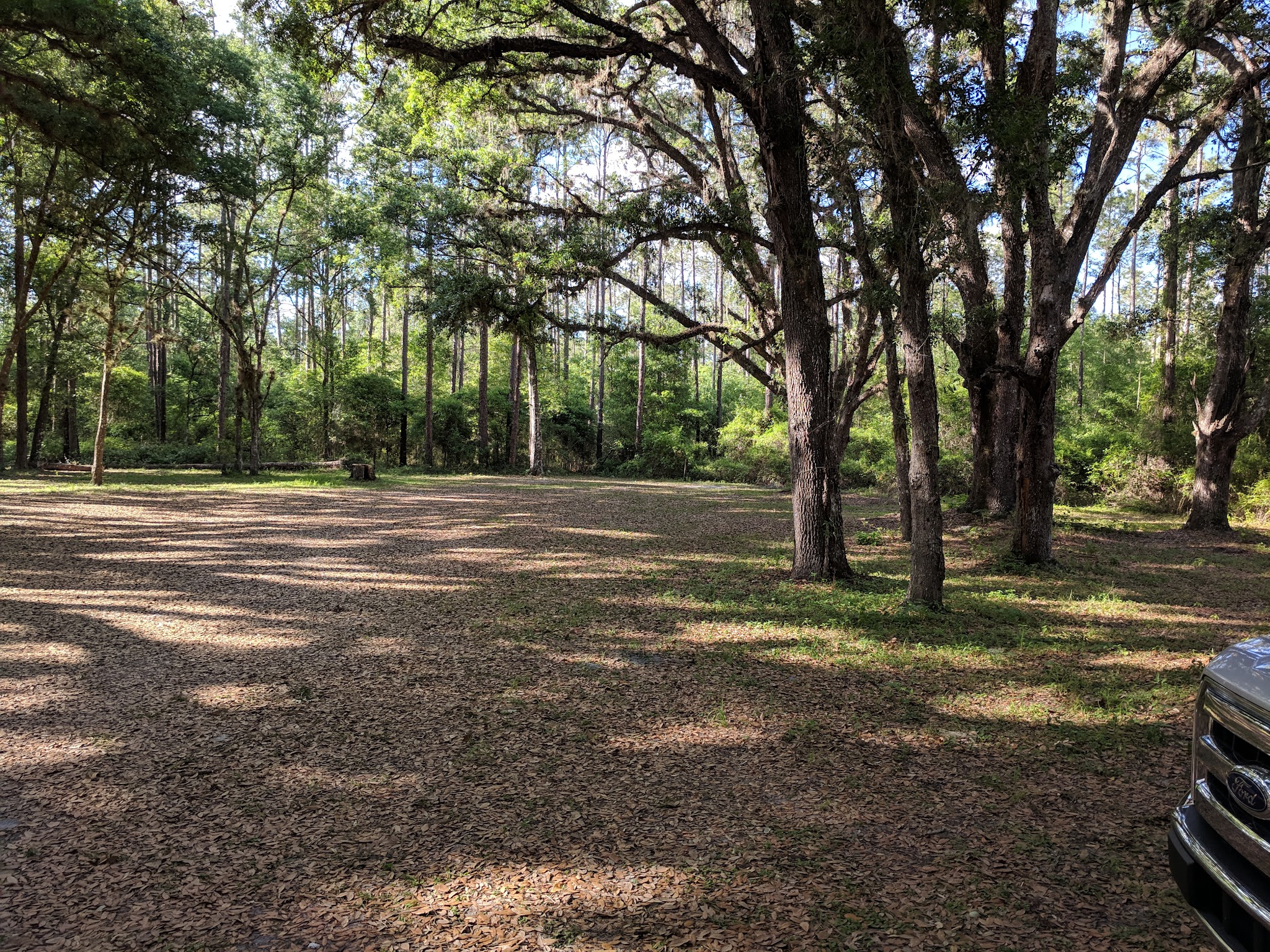 Pless Place Hunt Camp