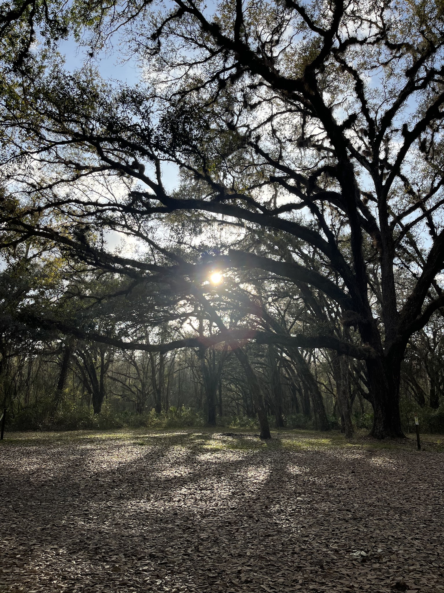 Pless Place Overnight Hunt Camp