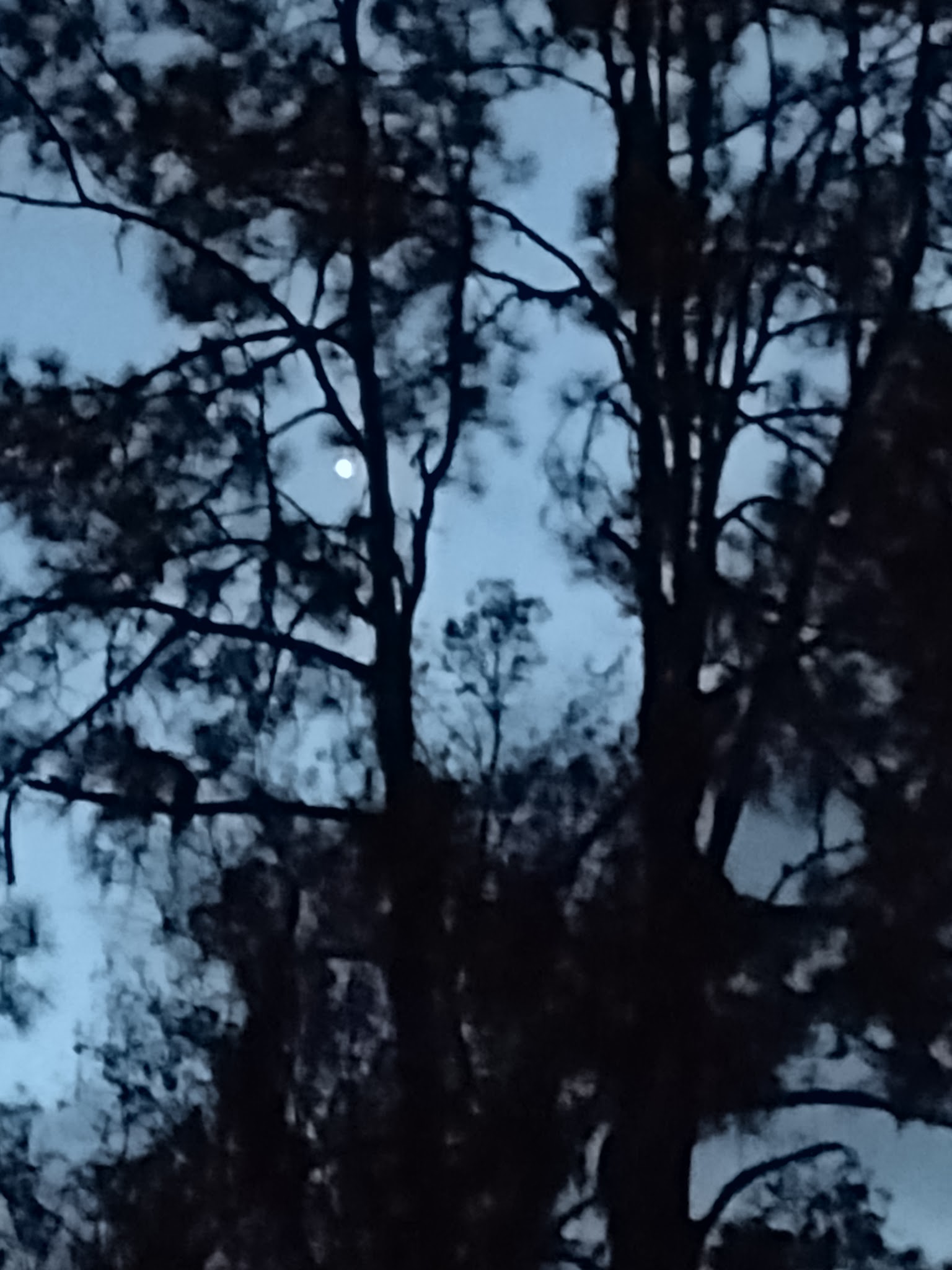 Pless Place Hunt Camp