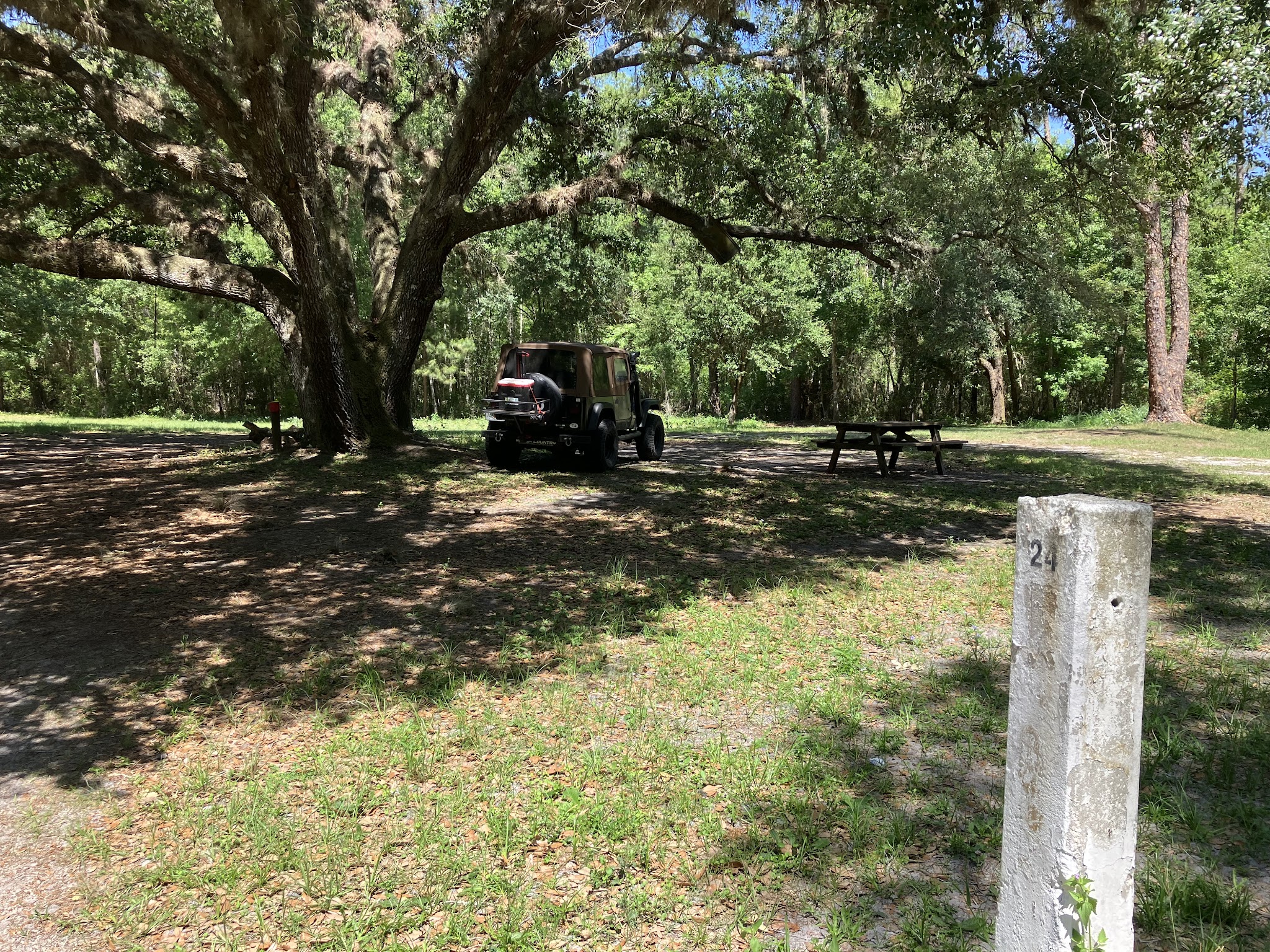 Pless Place Hunt Camp