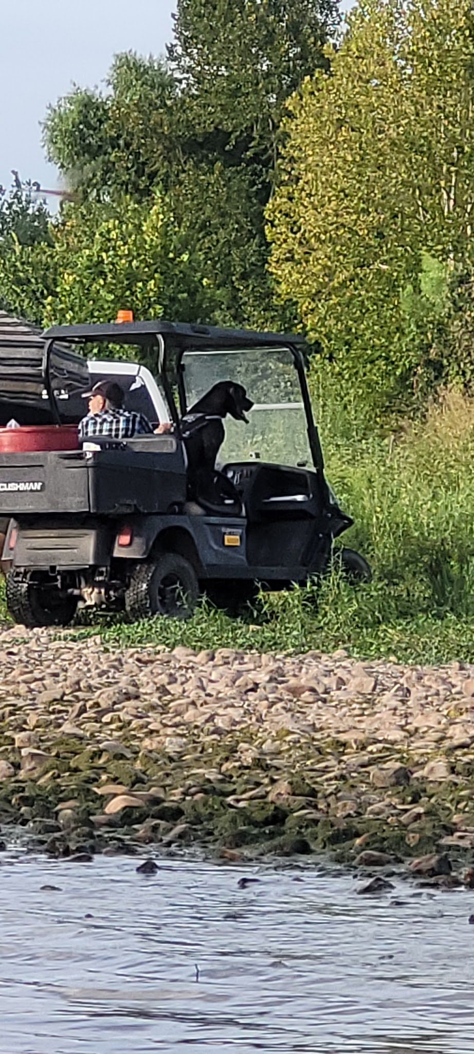 Plum Park On The Colorado