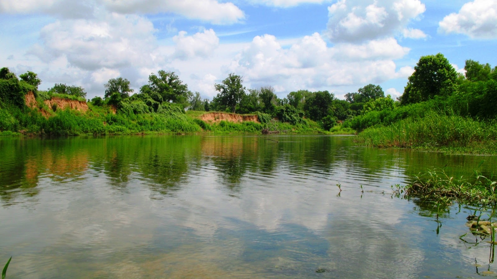 Plum Park On The Colorado