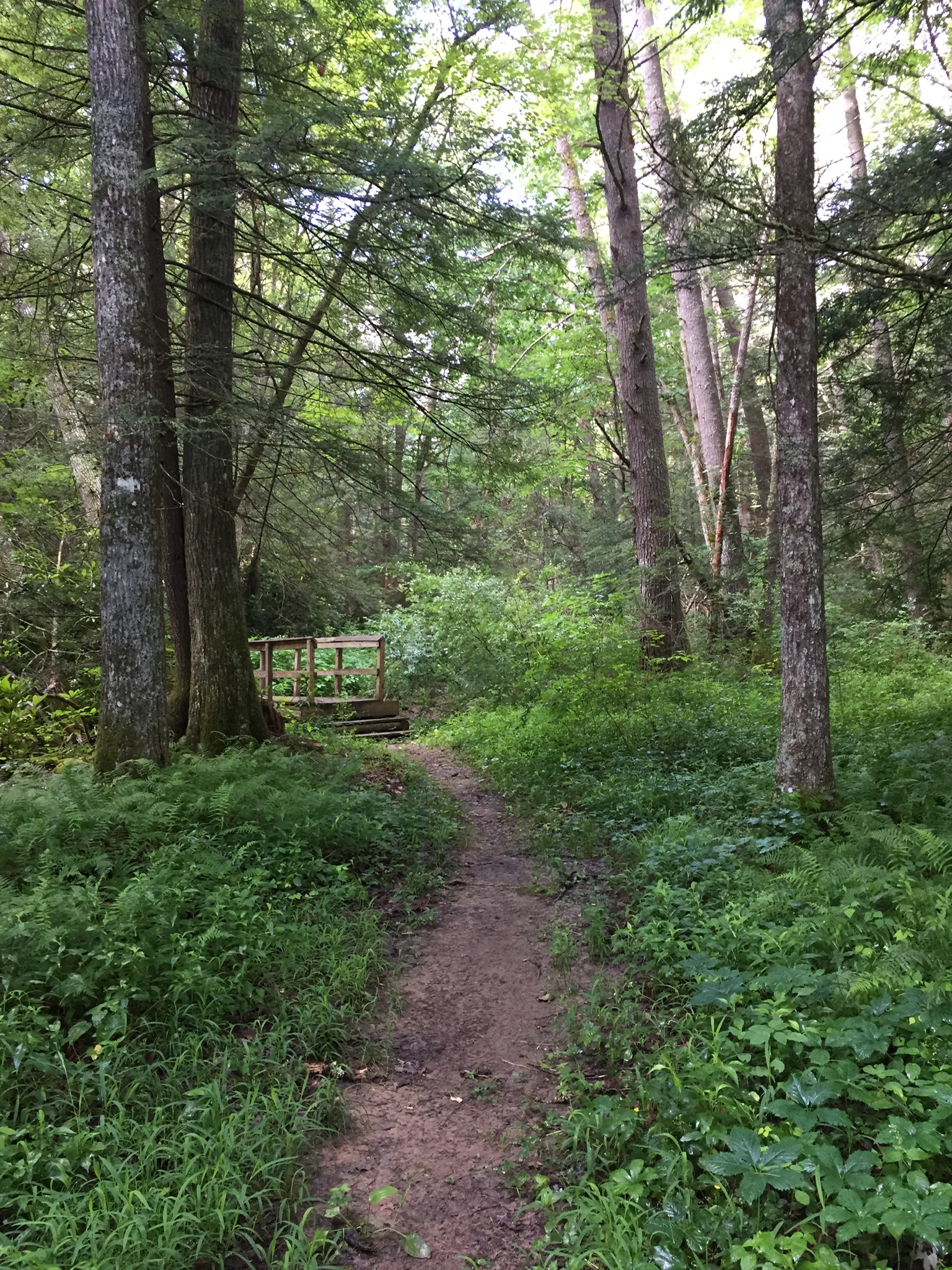 Pocahontas Campground