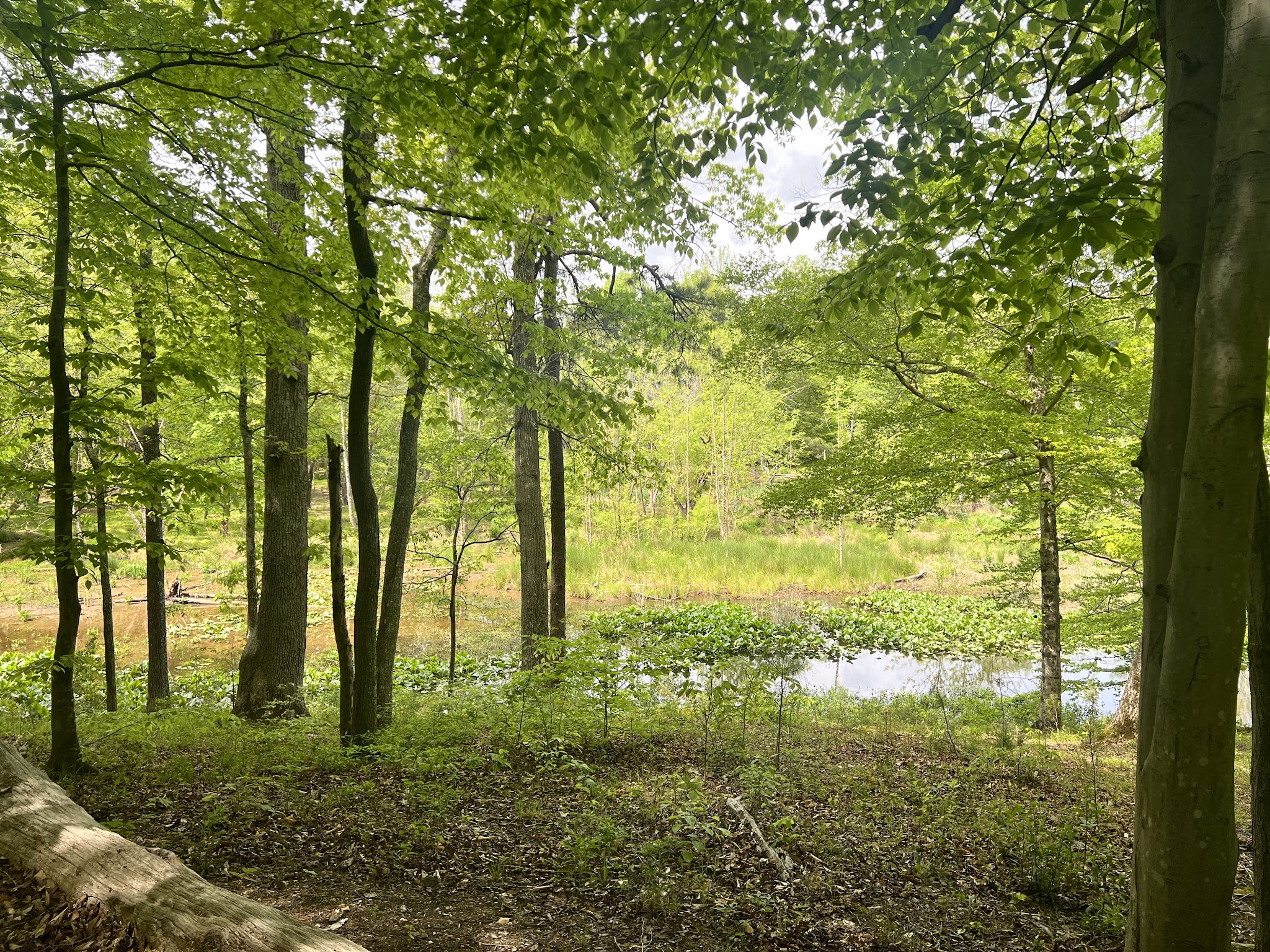 Hunts Zone Campground