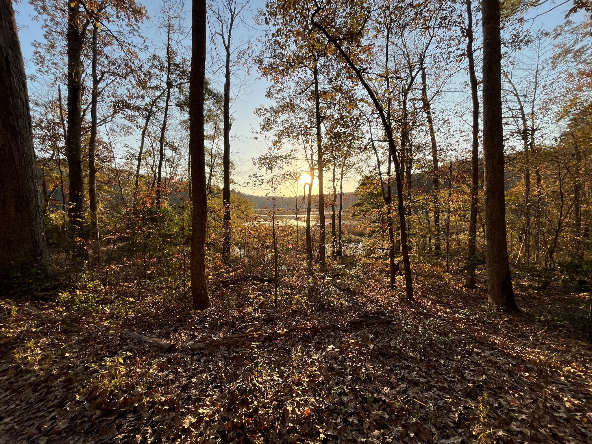 Hunts Zone Campground