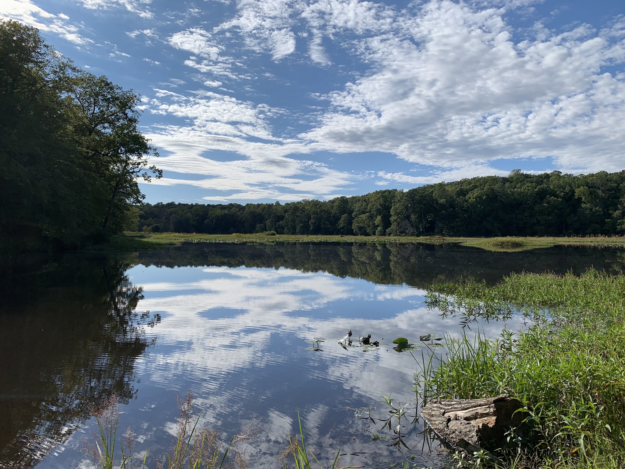 Hunts Zone Campground