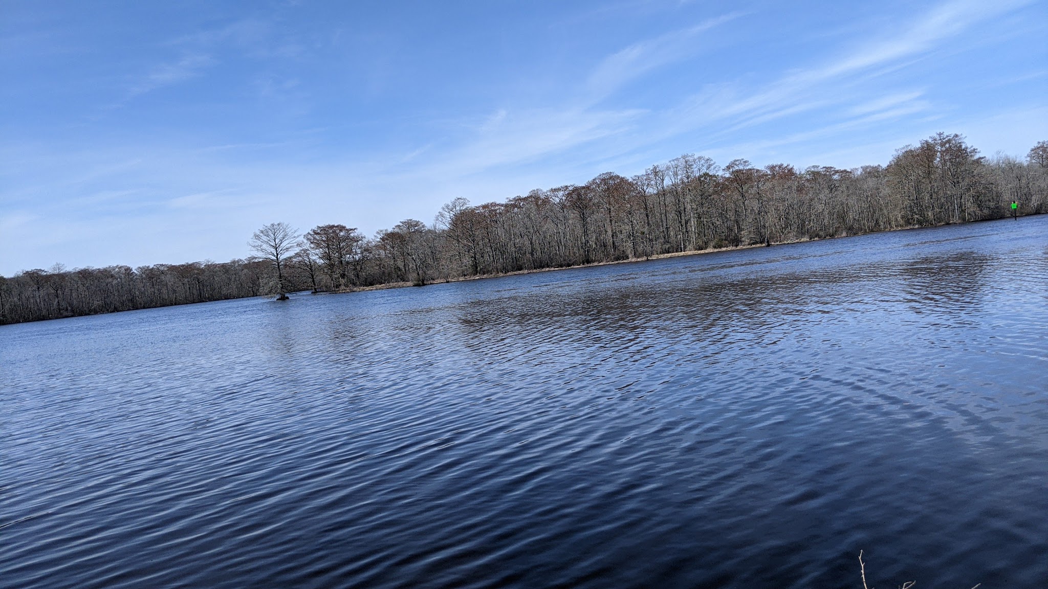 Pocomoke River State Park