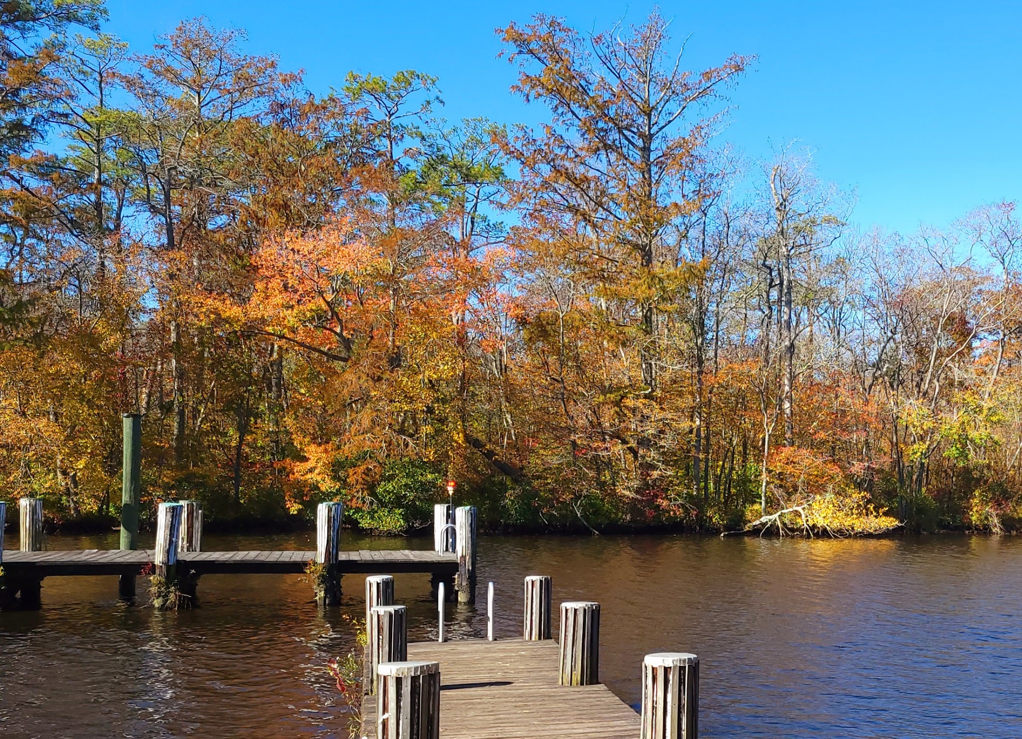Pocomoke River State Park
