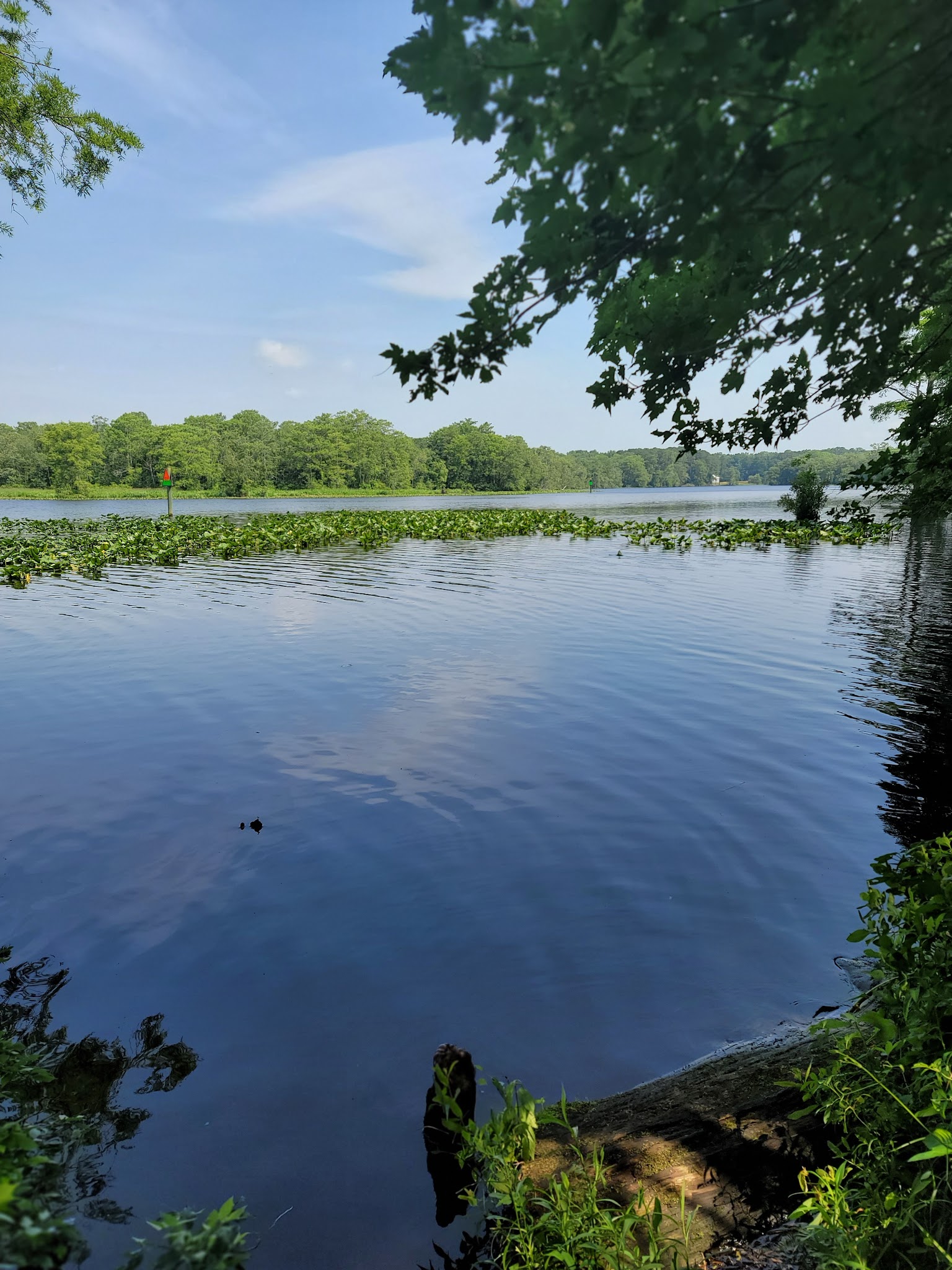 Pocomoke River State Park