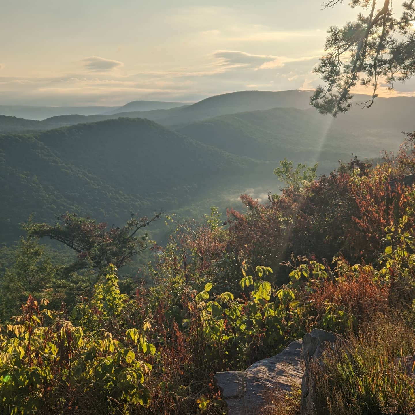 Poe Paddy State Park