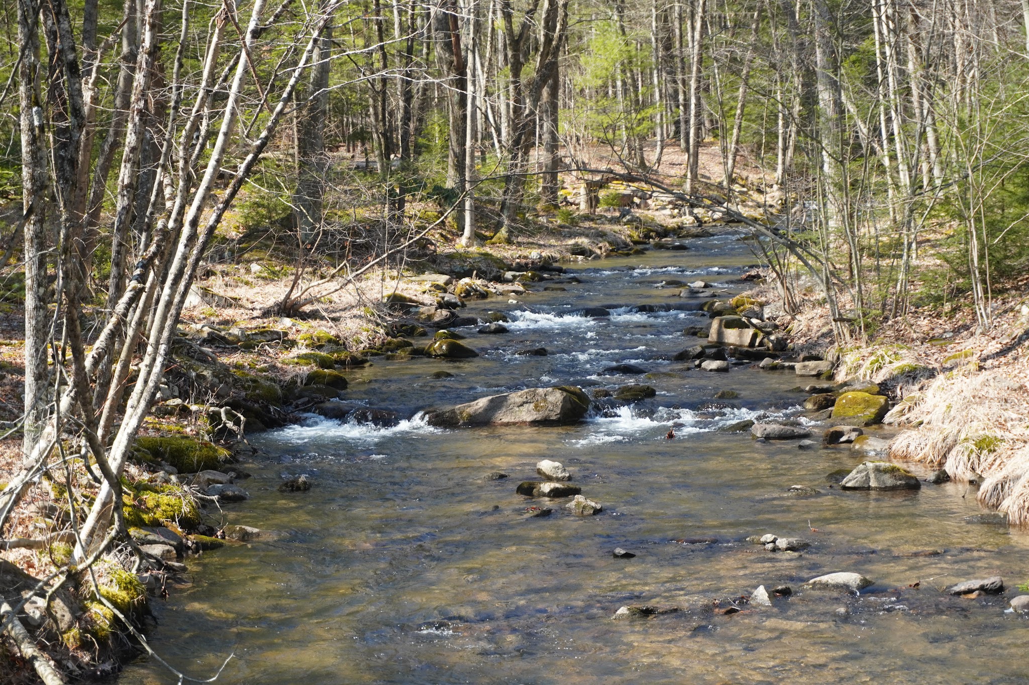 Poe Paddy State Park