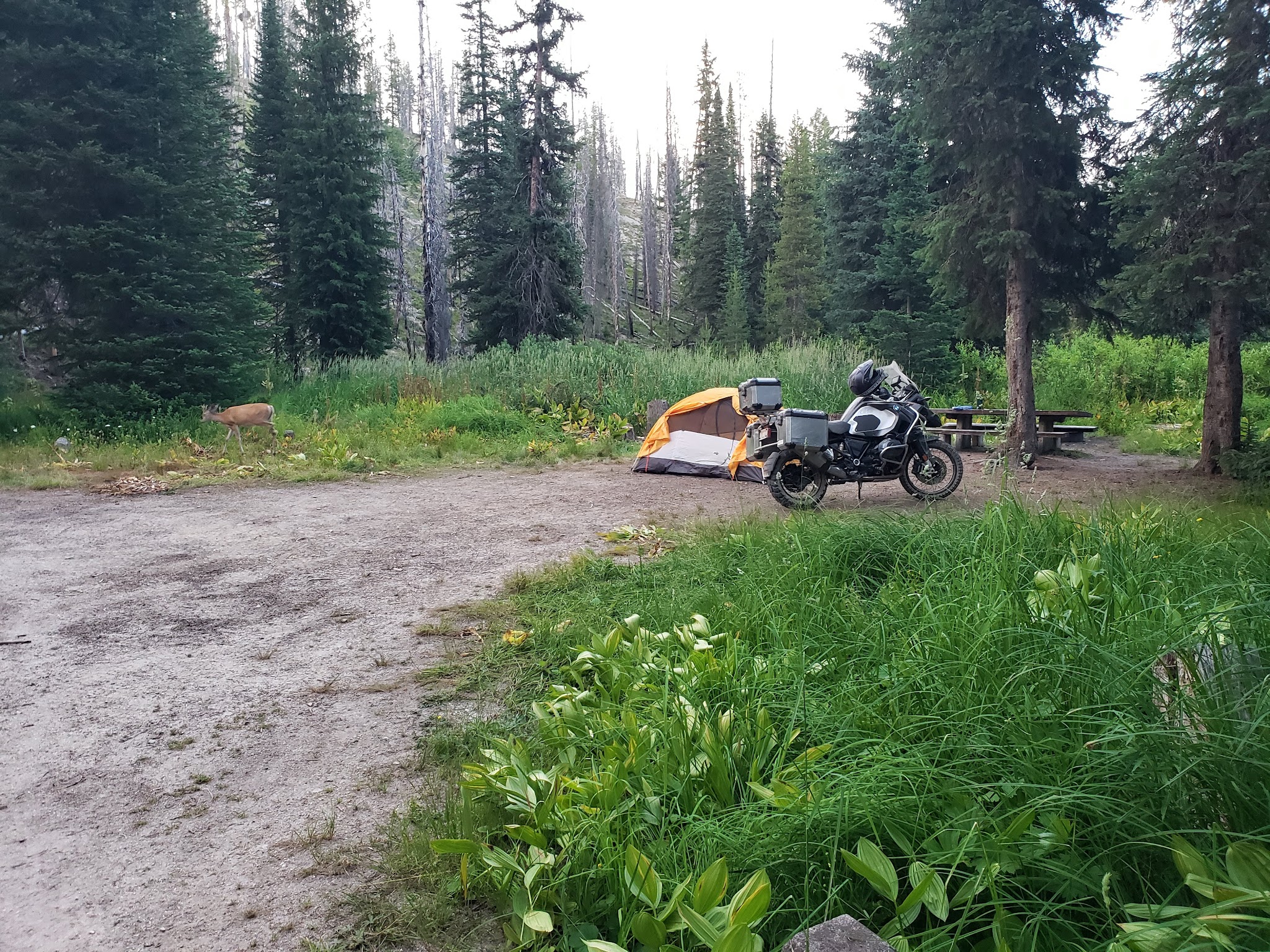 Poet Creek Campground