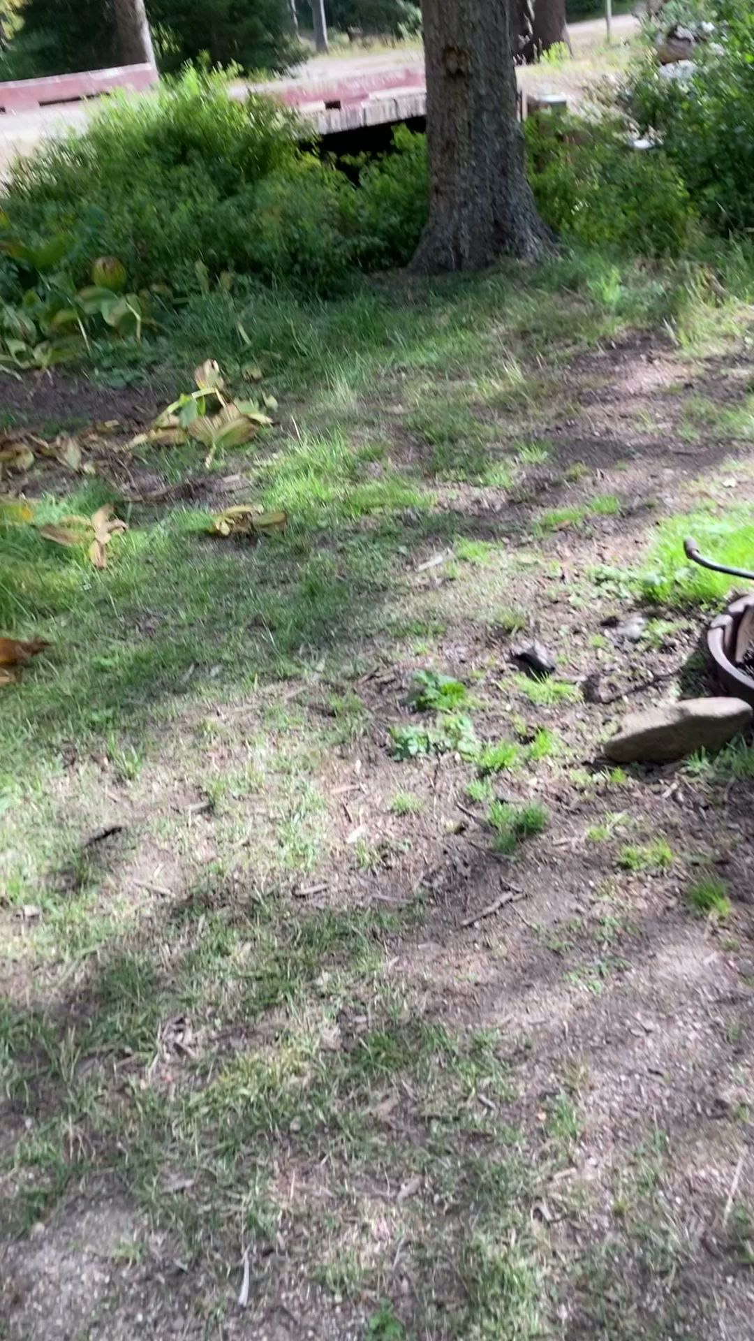 Poet Creek Campground