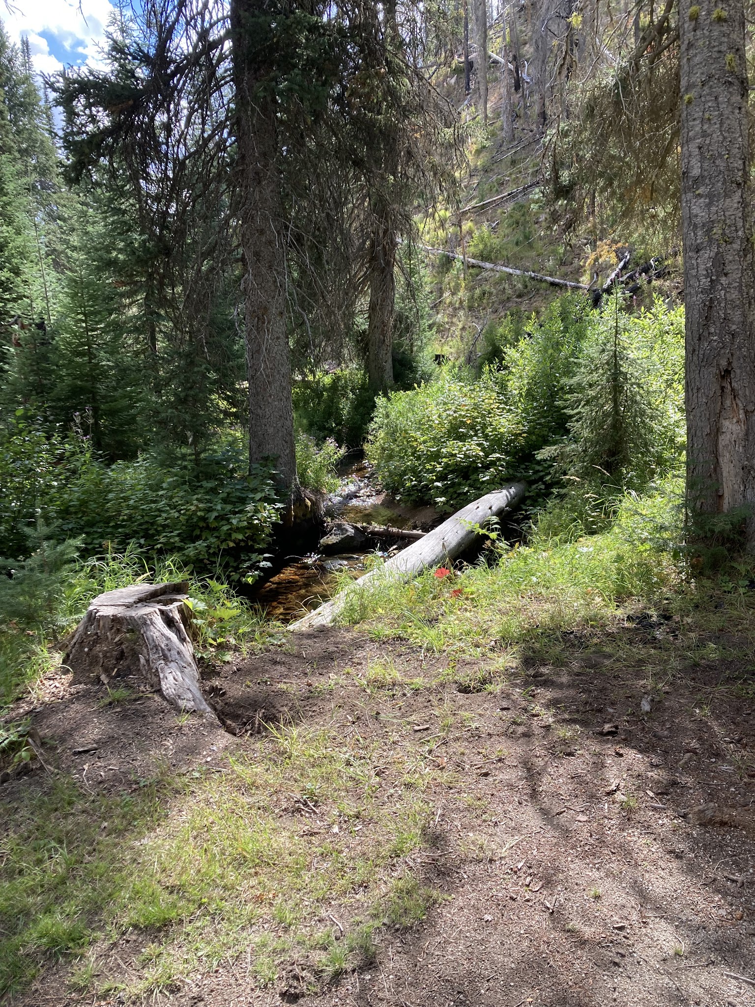 Poet Creek Campground