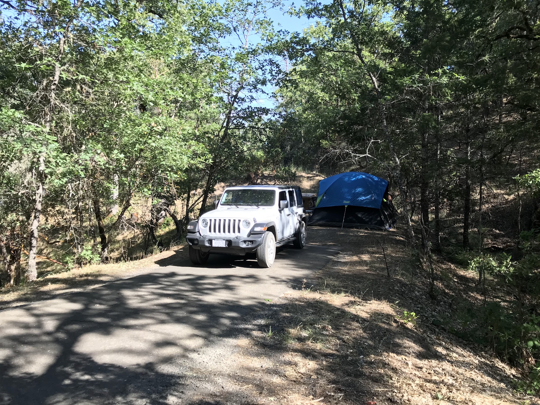 Pogie Point Campground