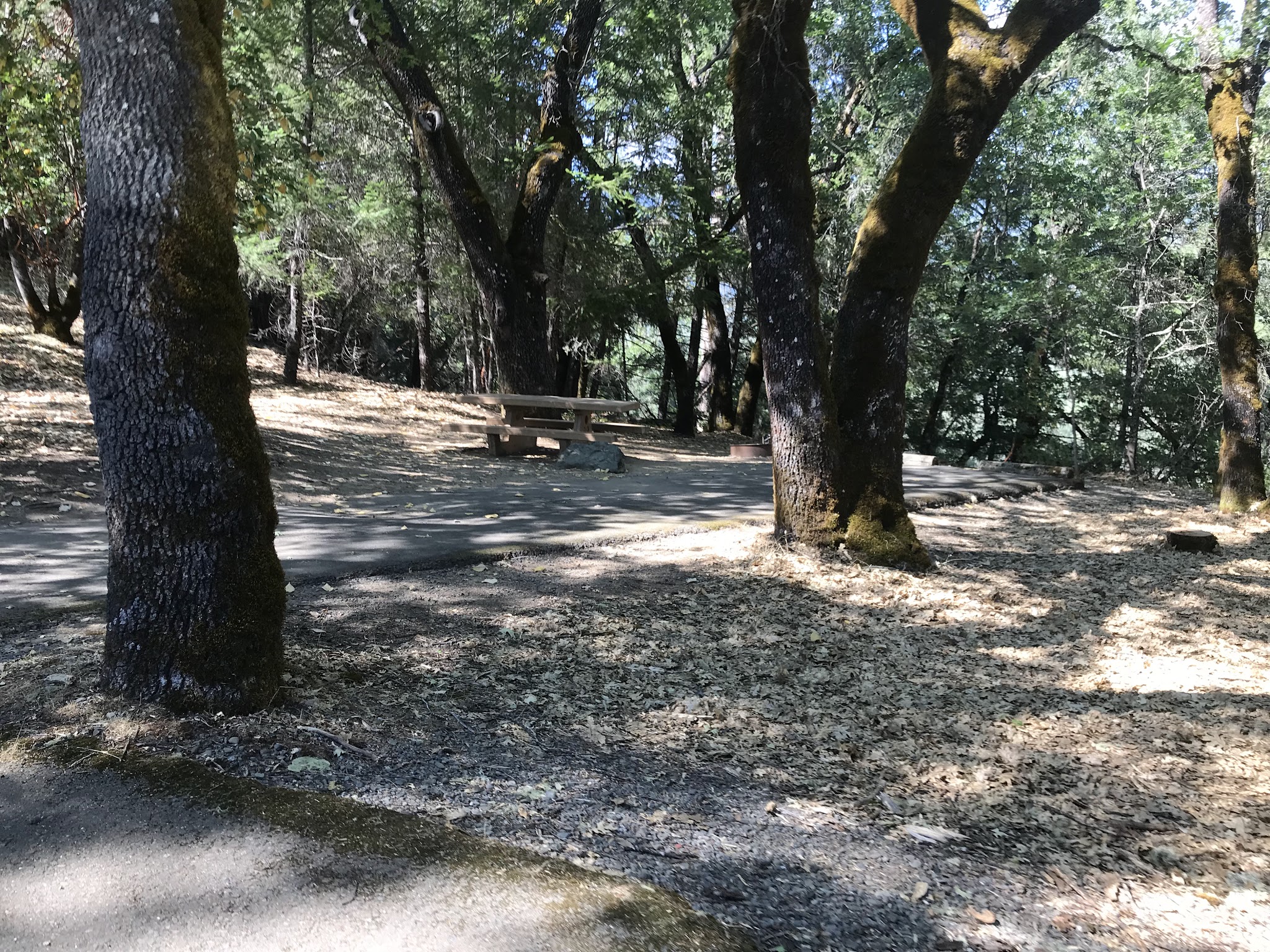 Pogie Point Campground