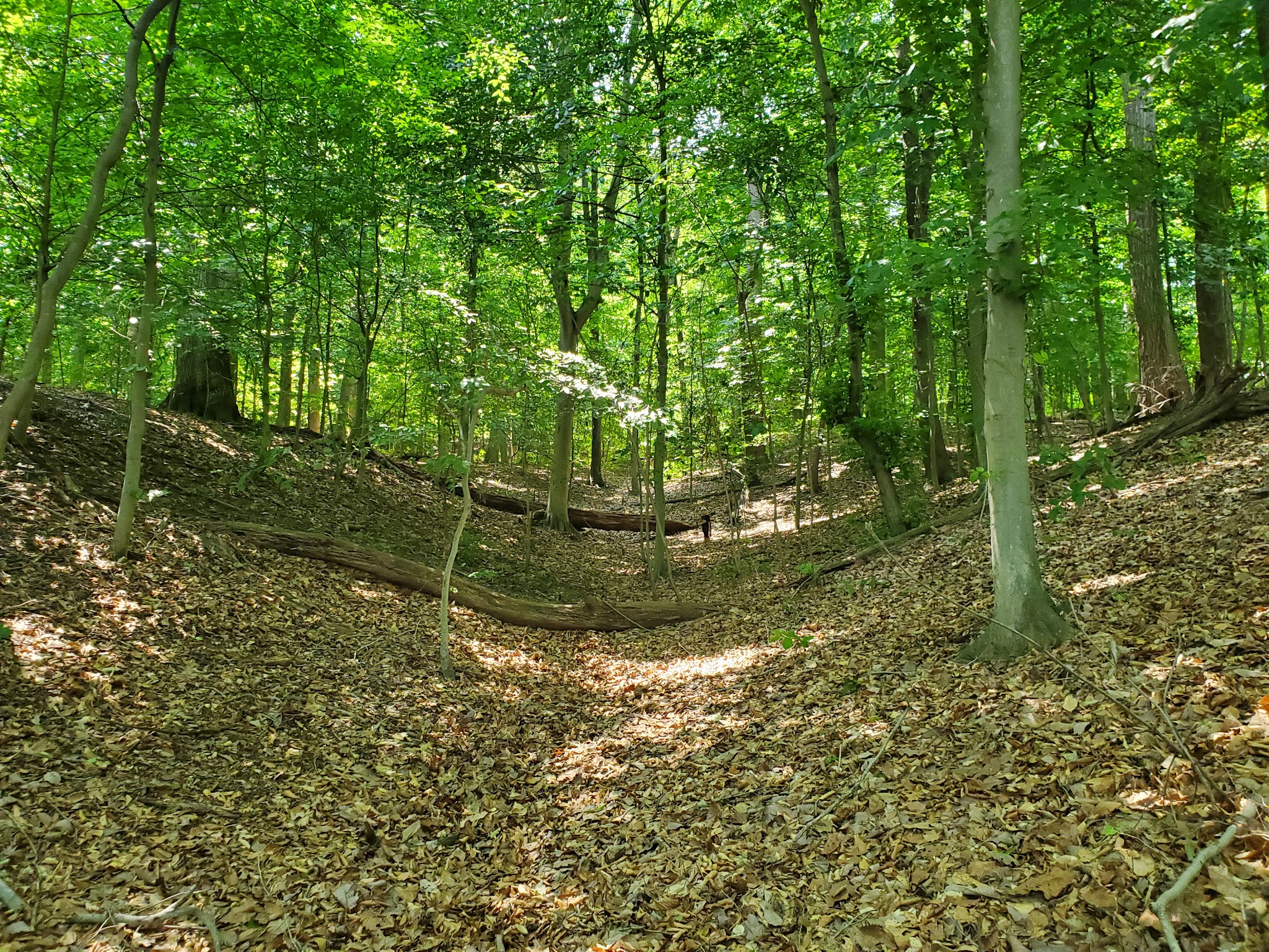 Pohick Bay Regional Park- Lorton