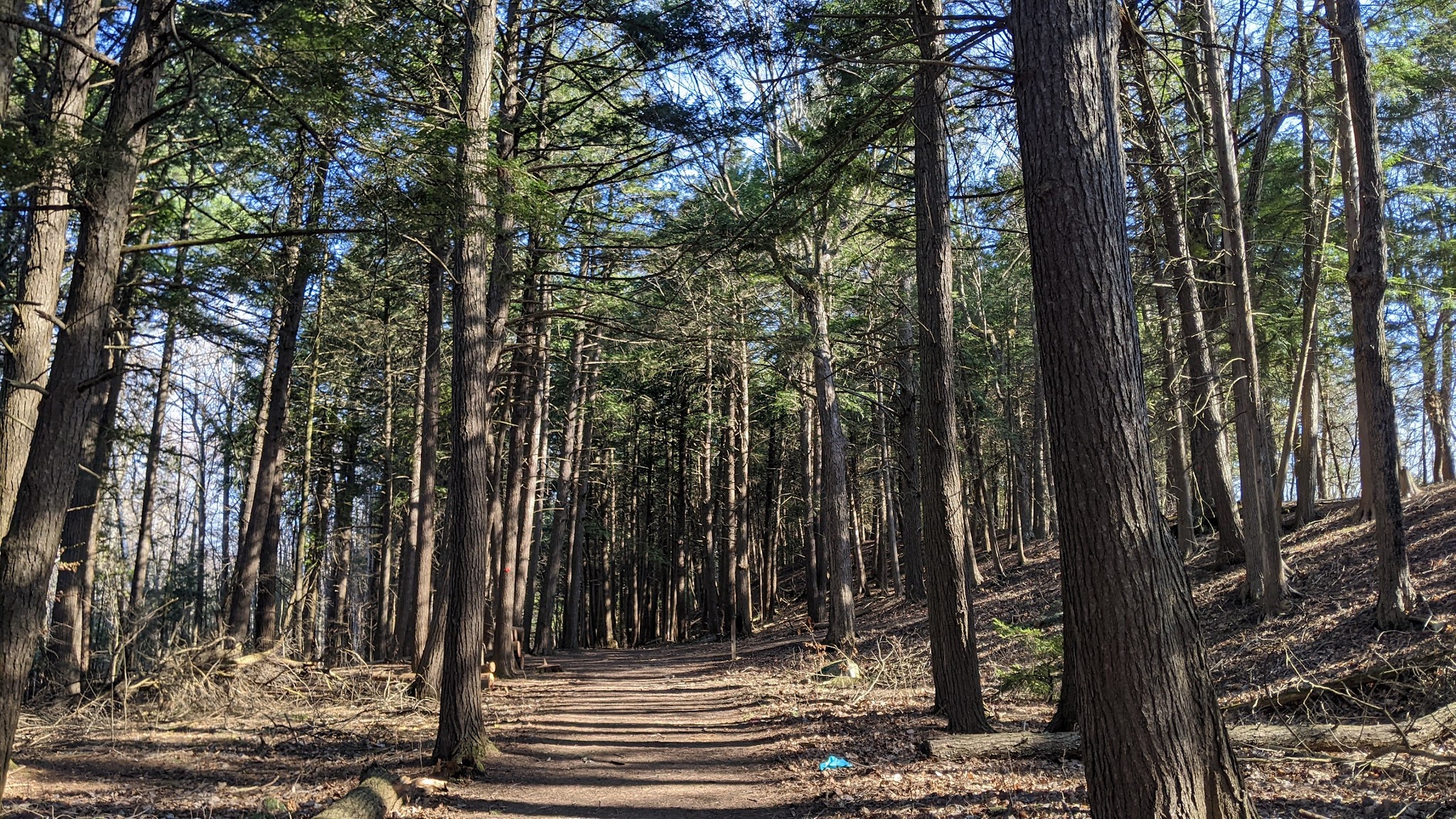 Point Au Roche State Park