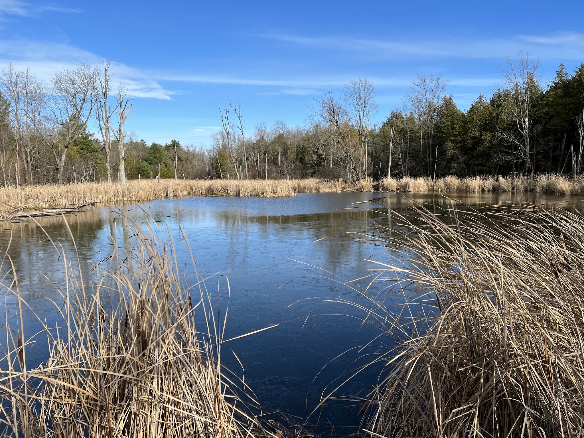 Point Au Roche State Park