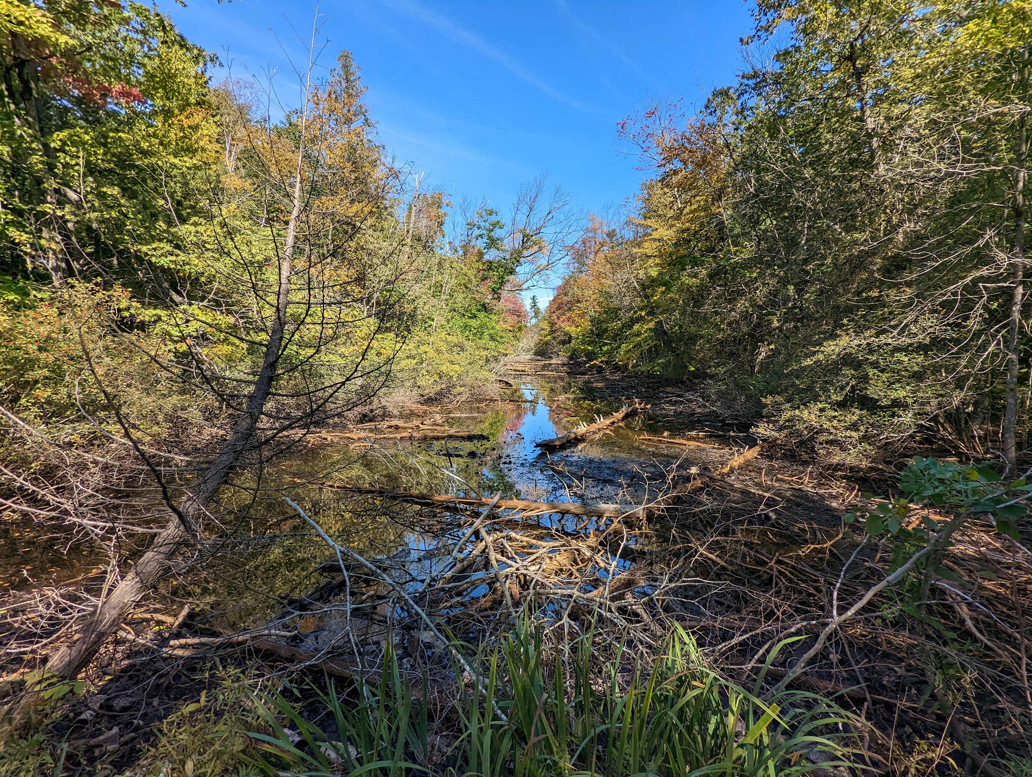 Point Beach State Forest