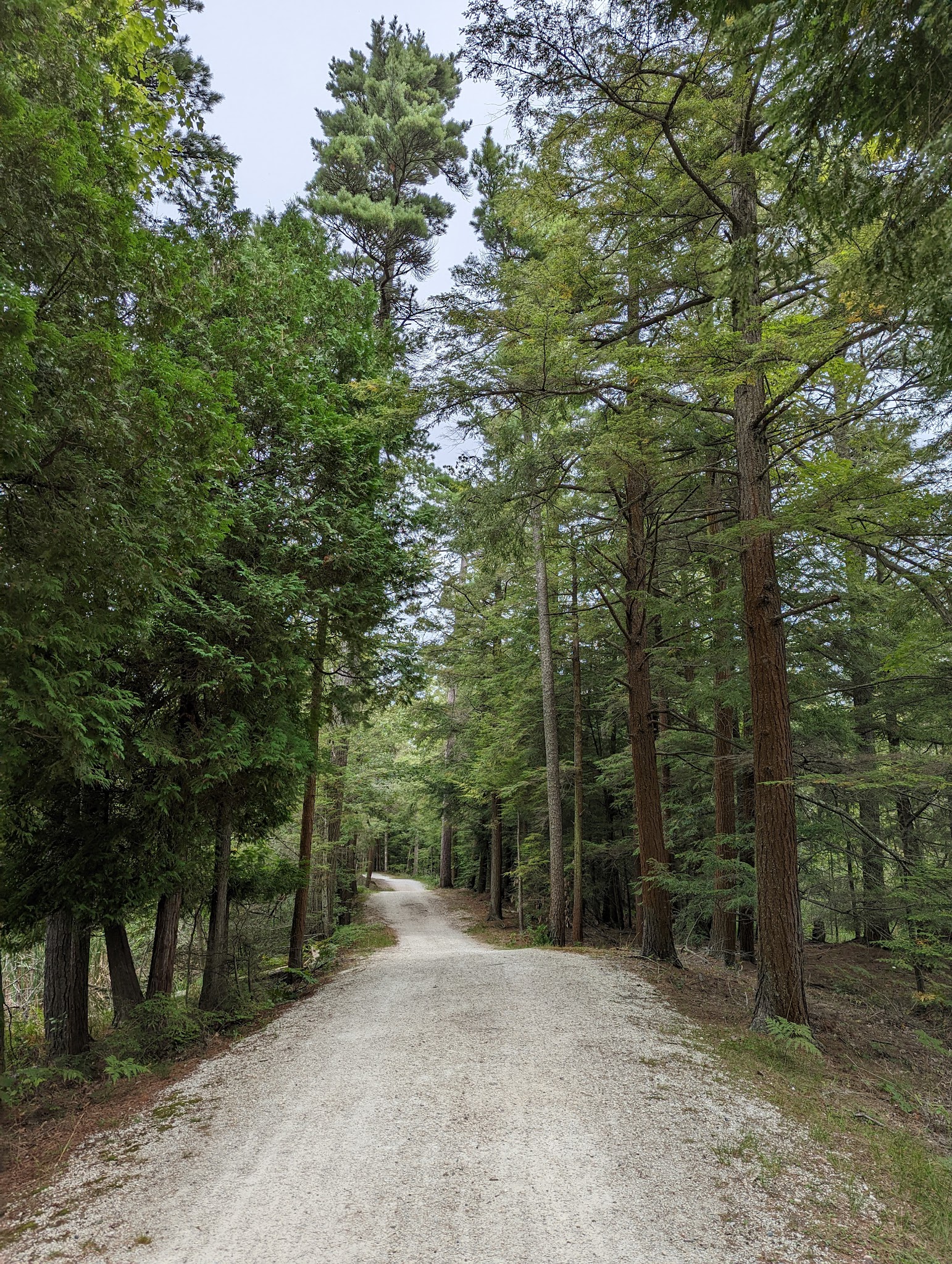 Point Beach State Forest