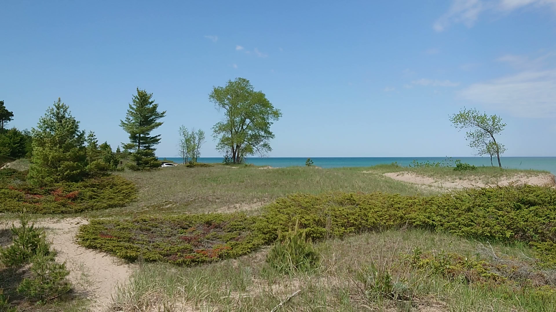 Point Beach State Forest