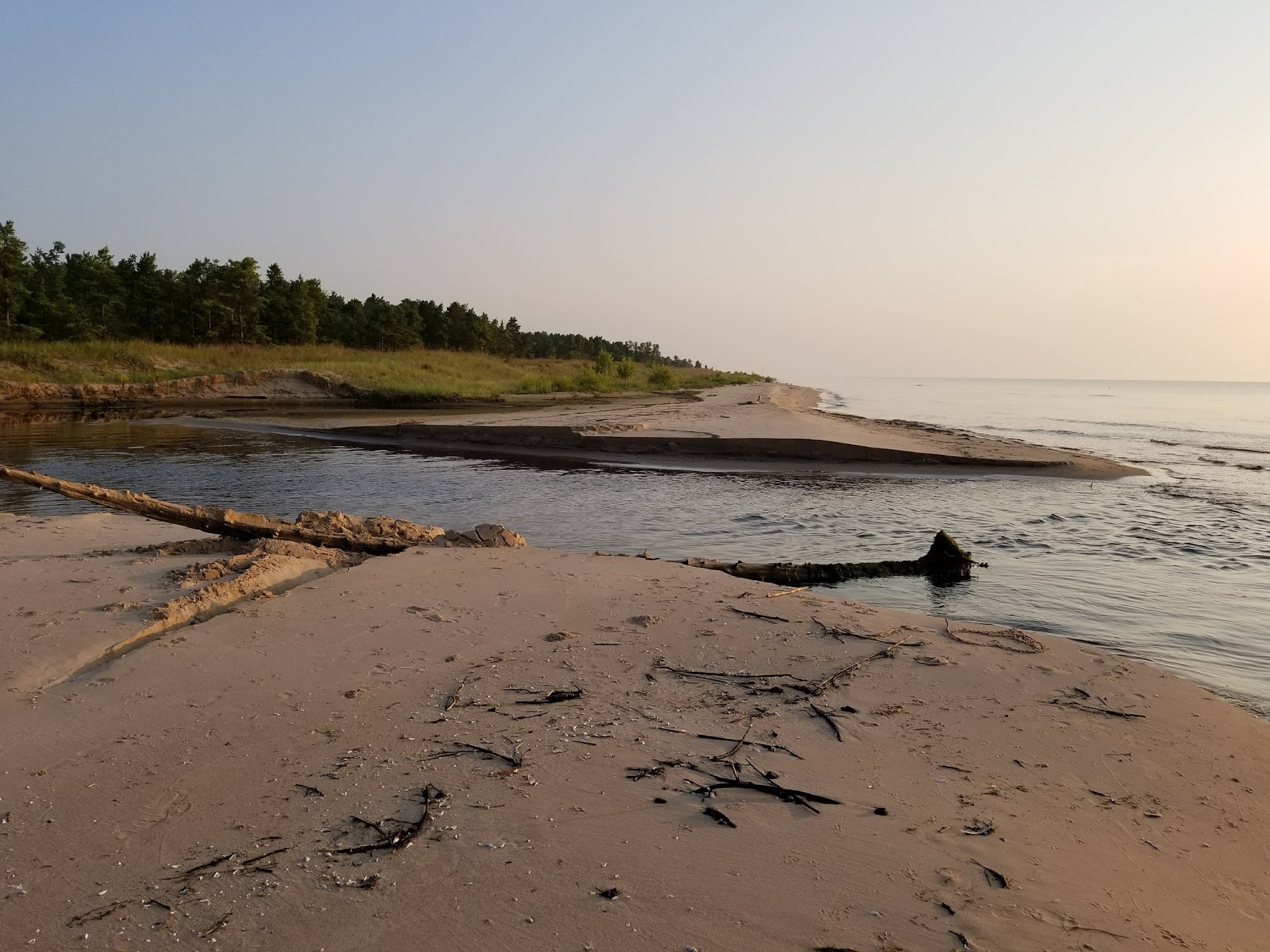 Point Beach State Forest