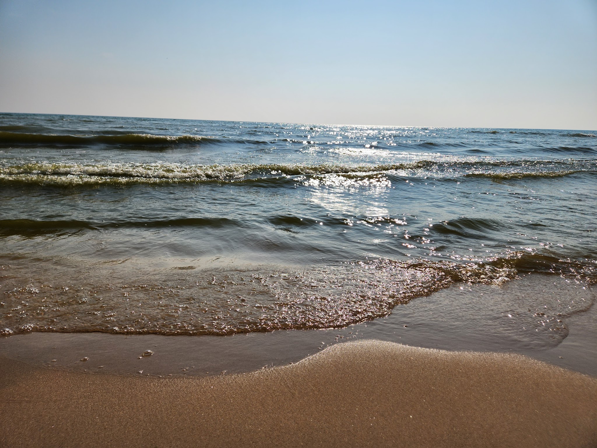 Point Beach State Forest