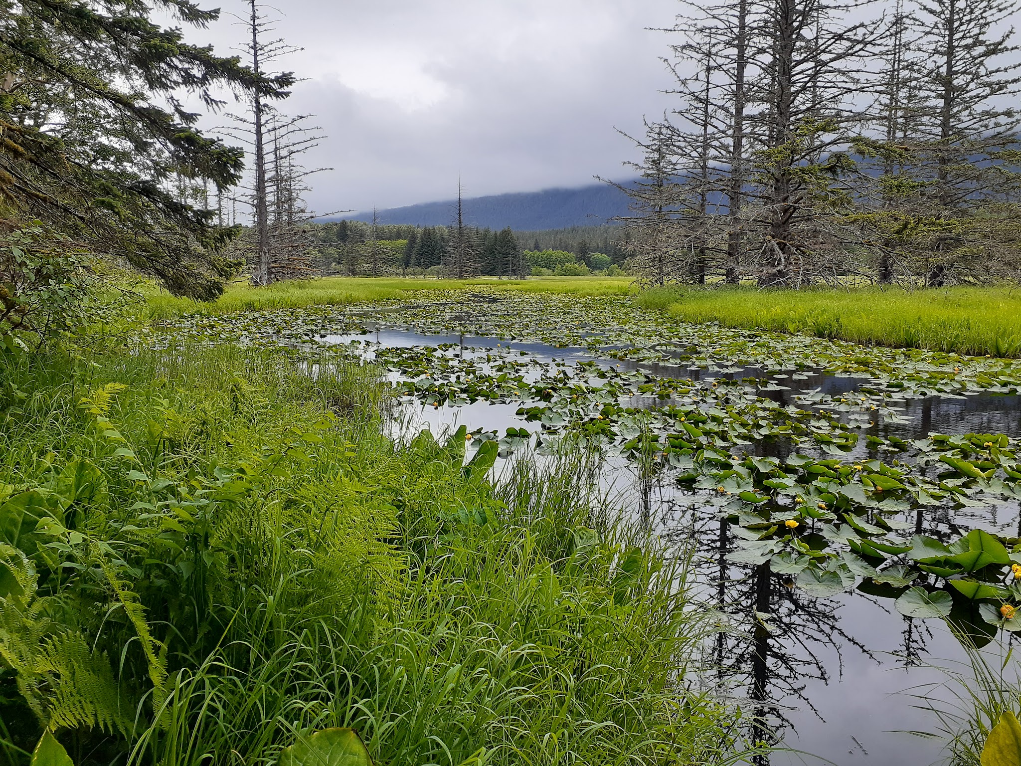 Point Bridget State Park
