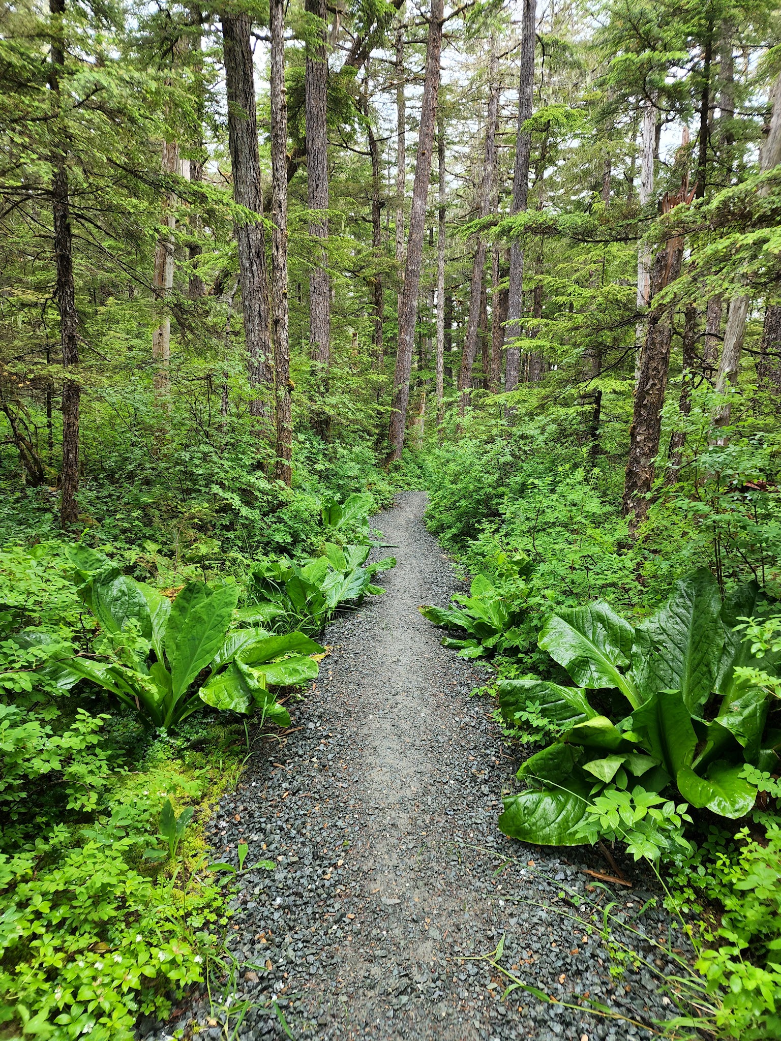 Point Bridget State Park