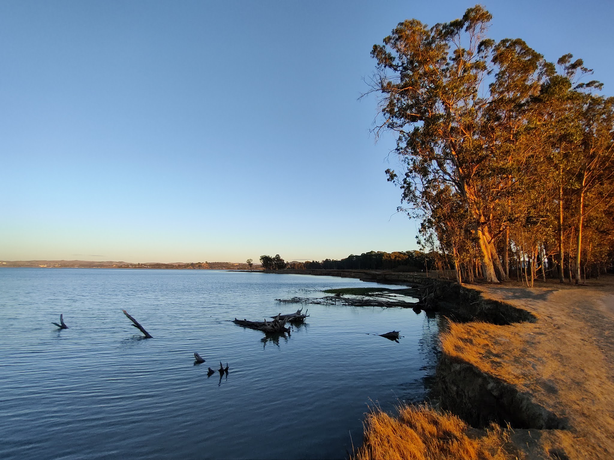 Point Pinole Regional Shoreline