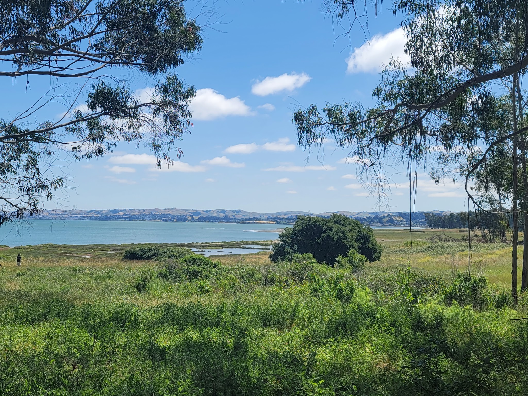 Point Pinole Regional Shoreline