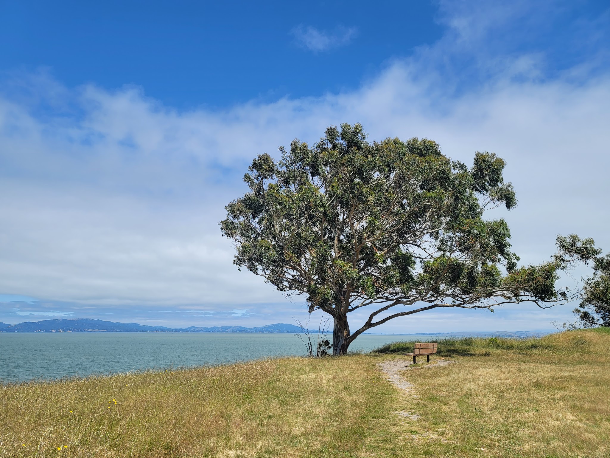 Point Pinole Regional Shoreline