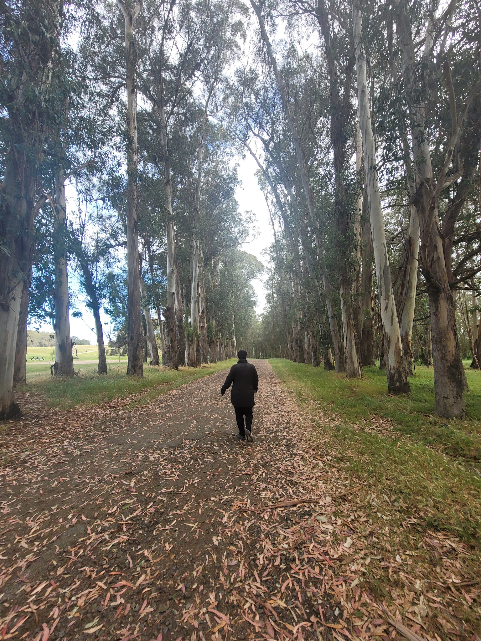 Point Pinole Regional Shoreline