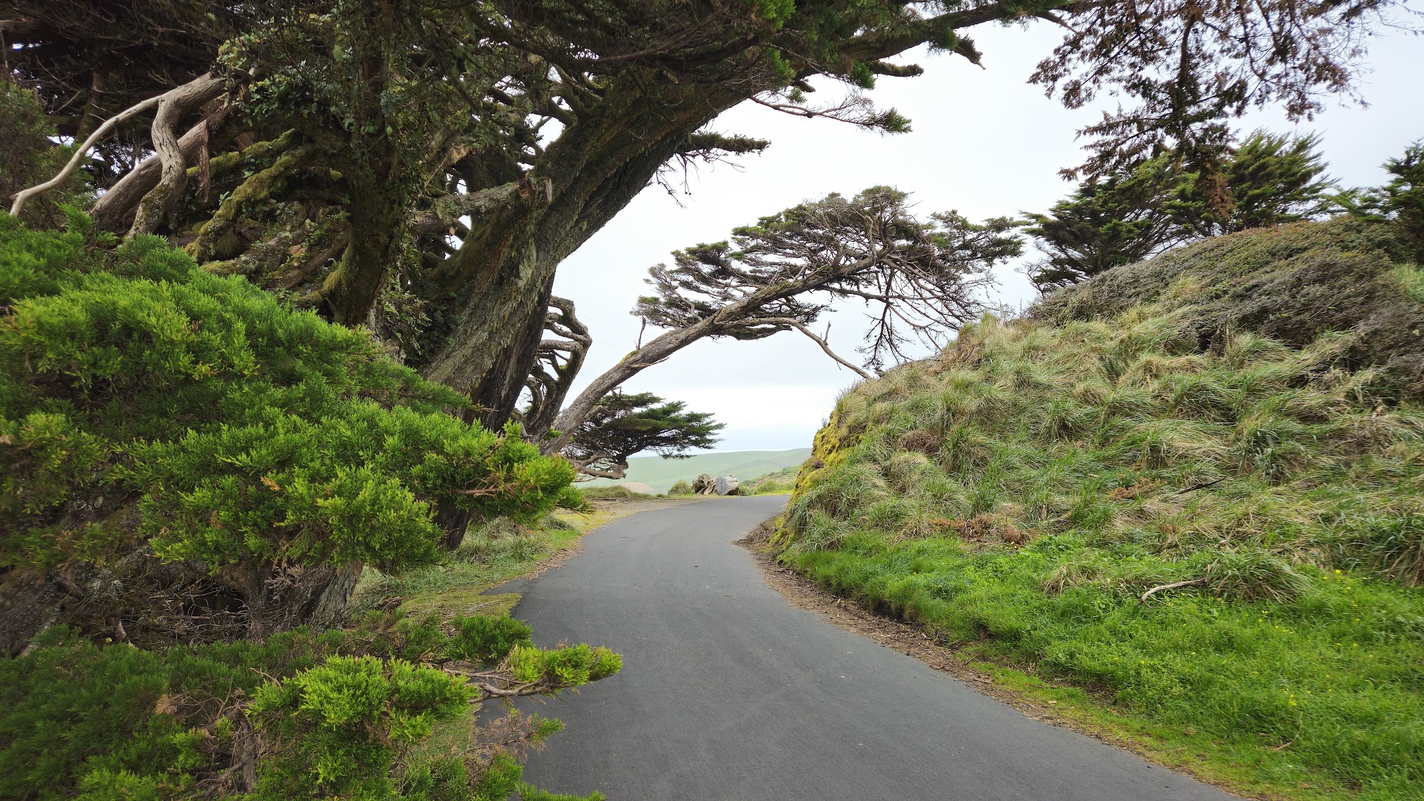 Point Reyes National Seashore Campground