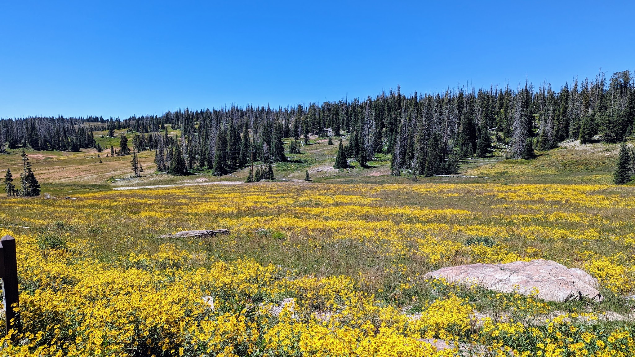 Point Supreme Campground