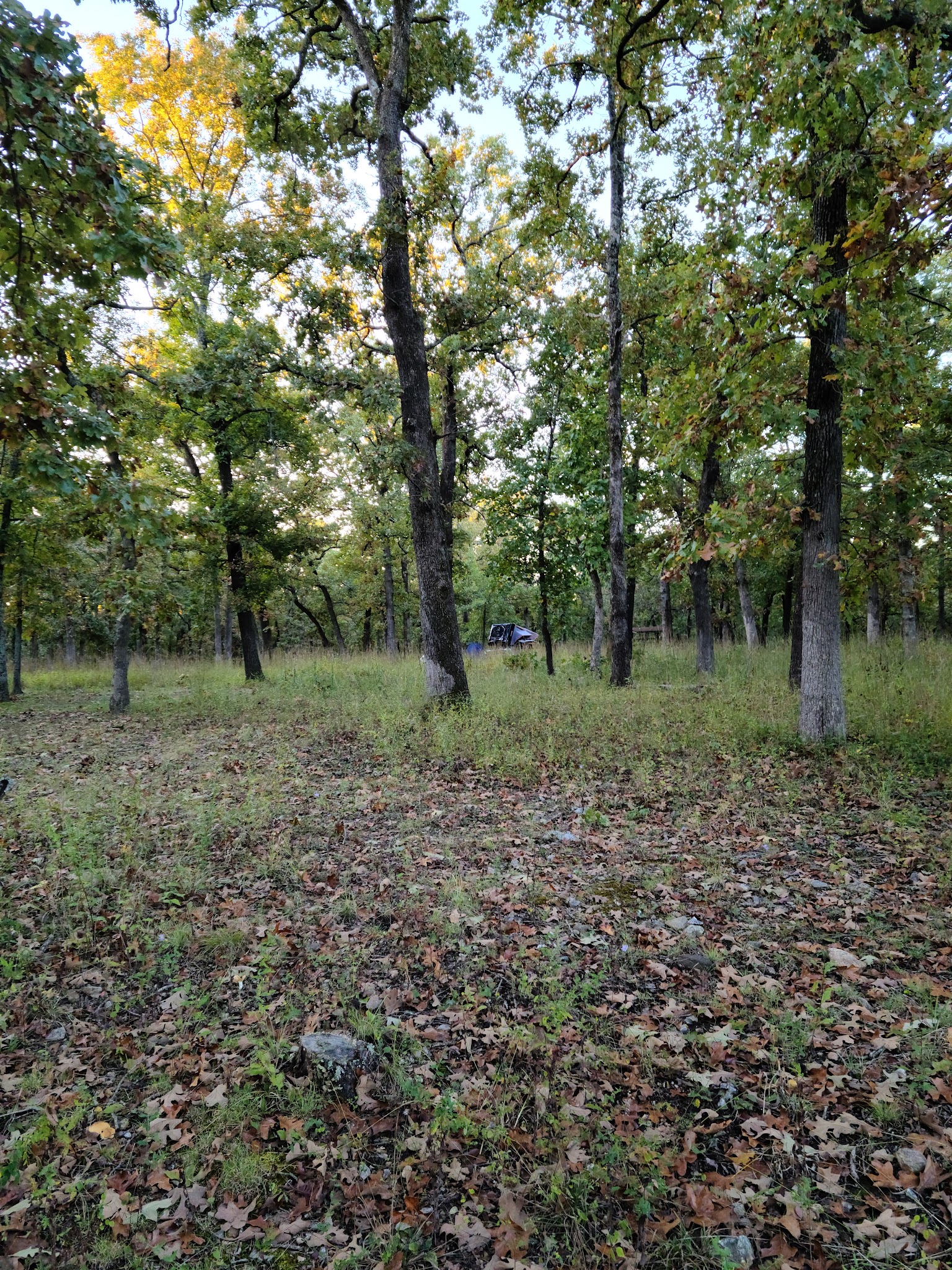 Pittsburg Campground