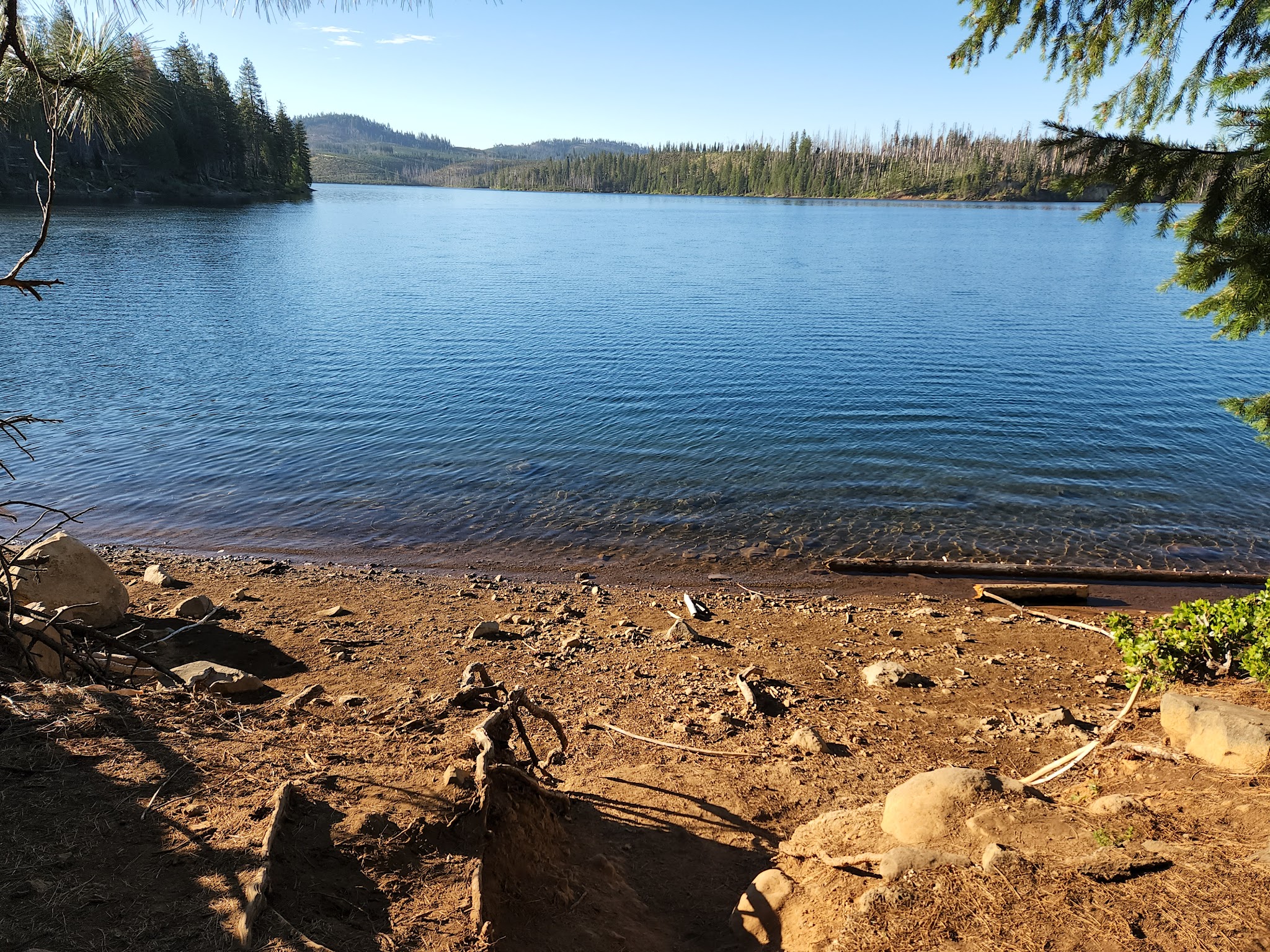 Ponderosa Cove Campground