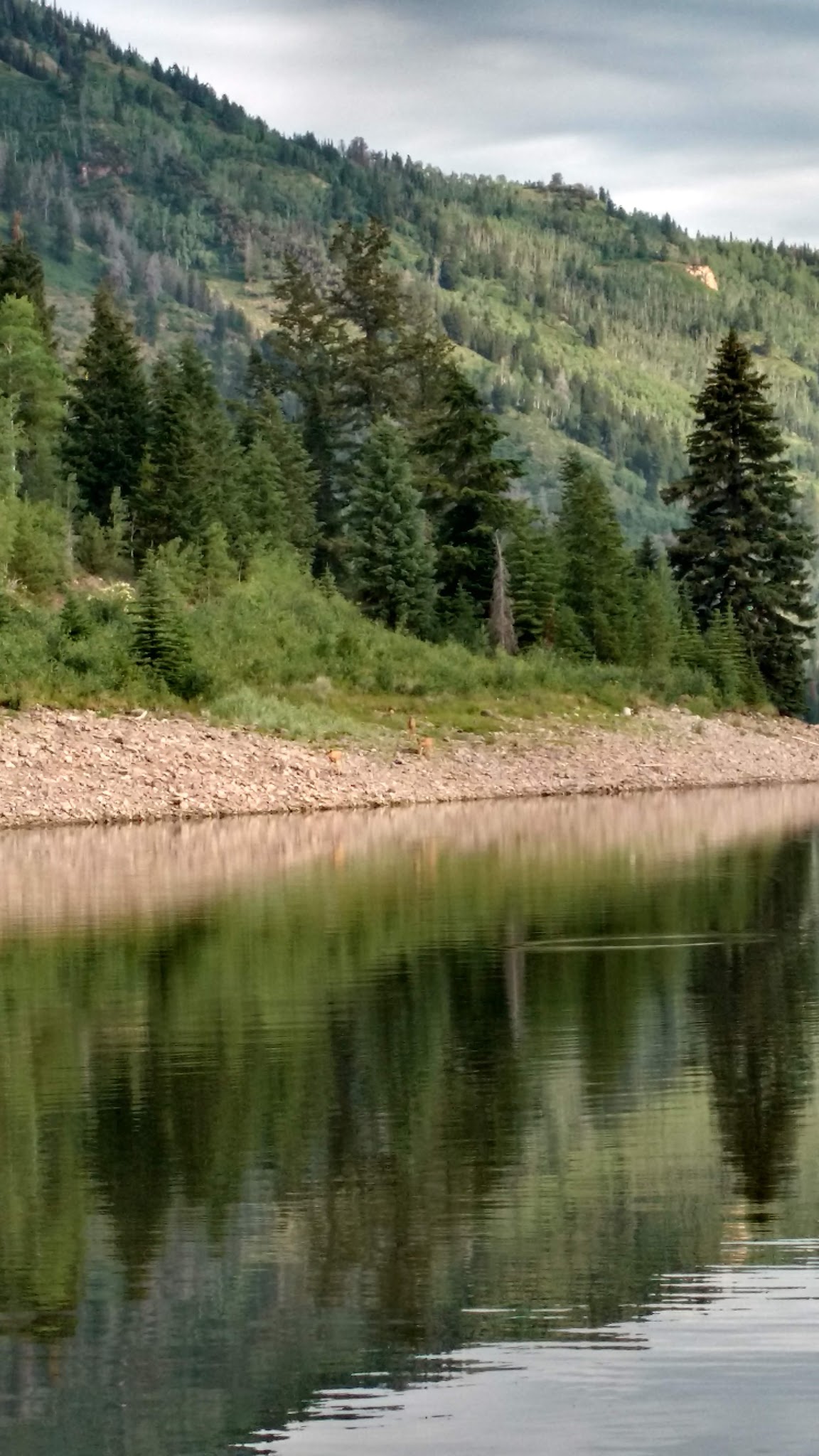 Ponderosa Group Campground