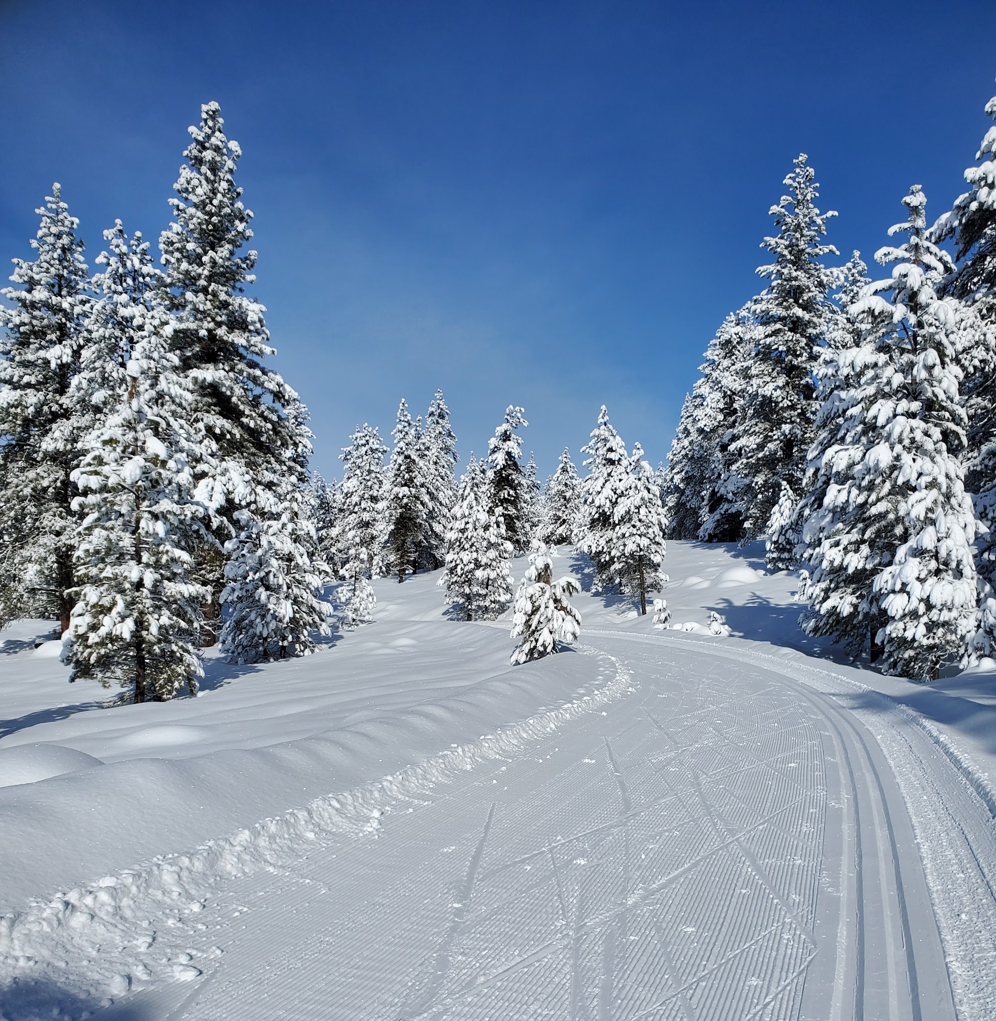 Ponderosa State Park