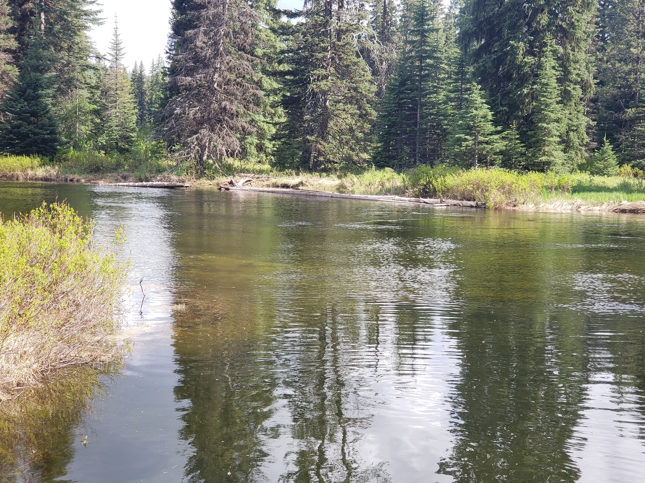 Ponderosa State Park