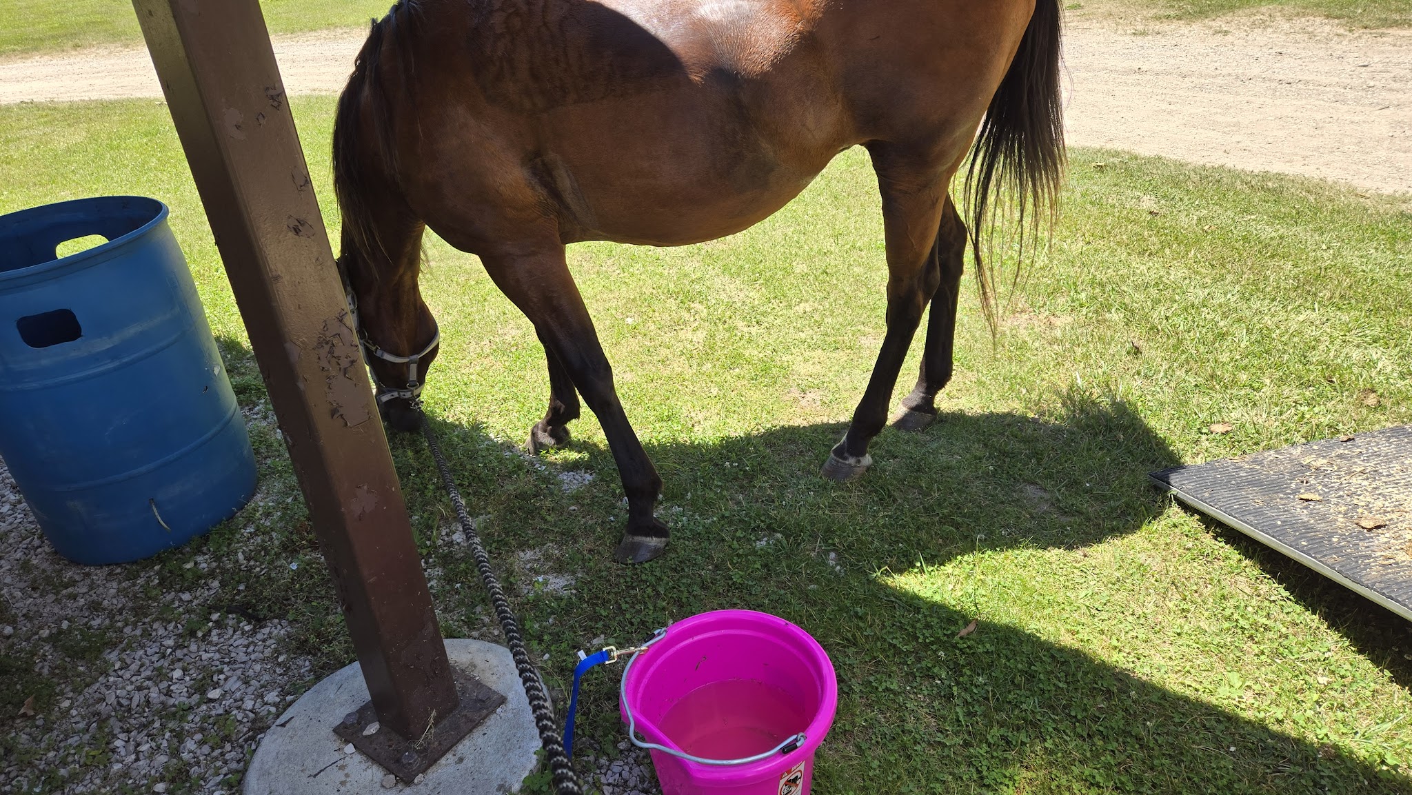 Pontiac Lake-Equestrian Campground