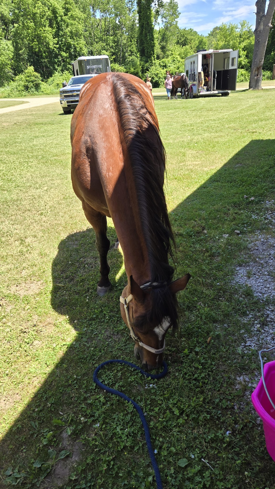 Pontiac Lake-Equestrian Campground