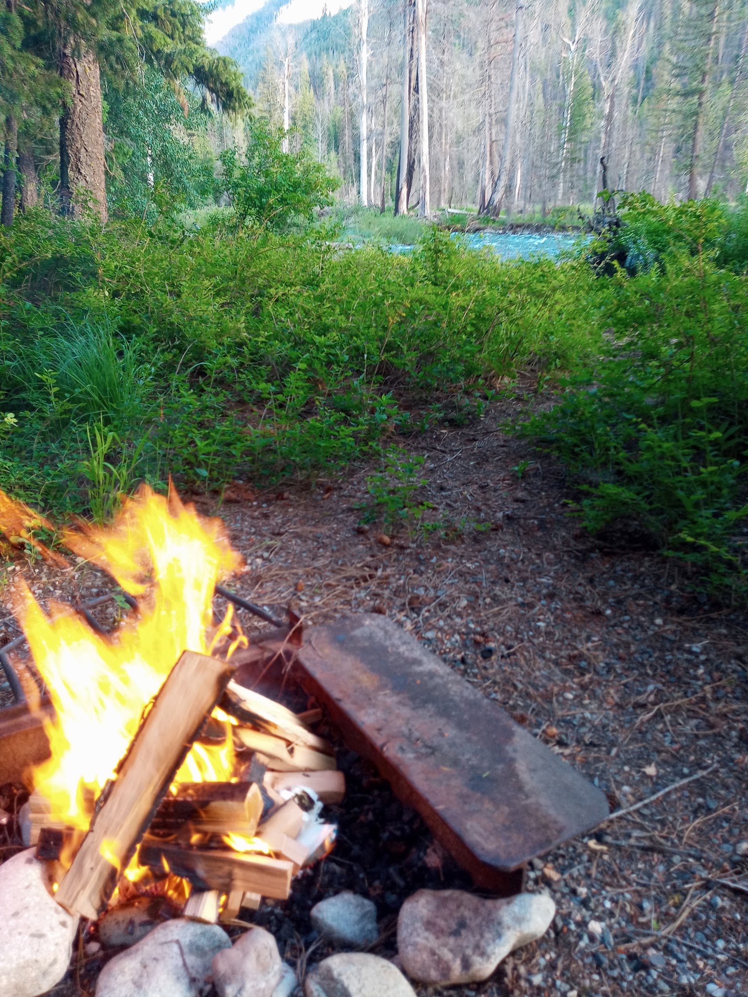 Poplar Flat Campground