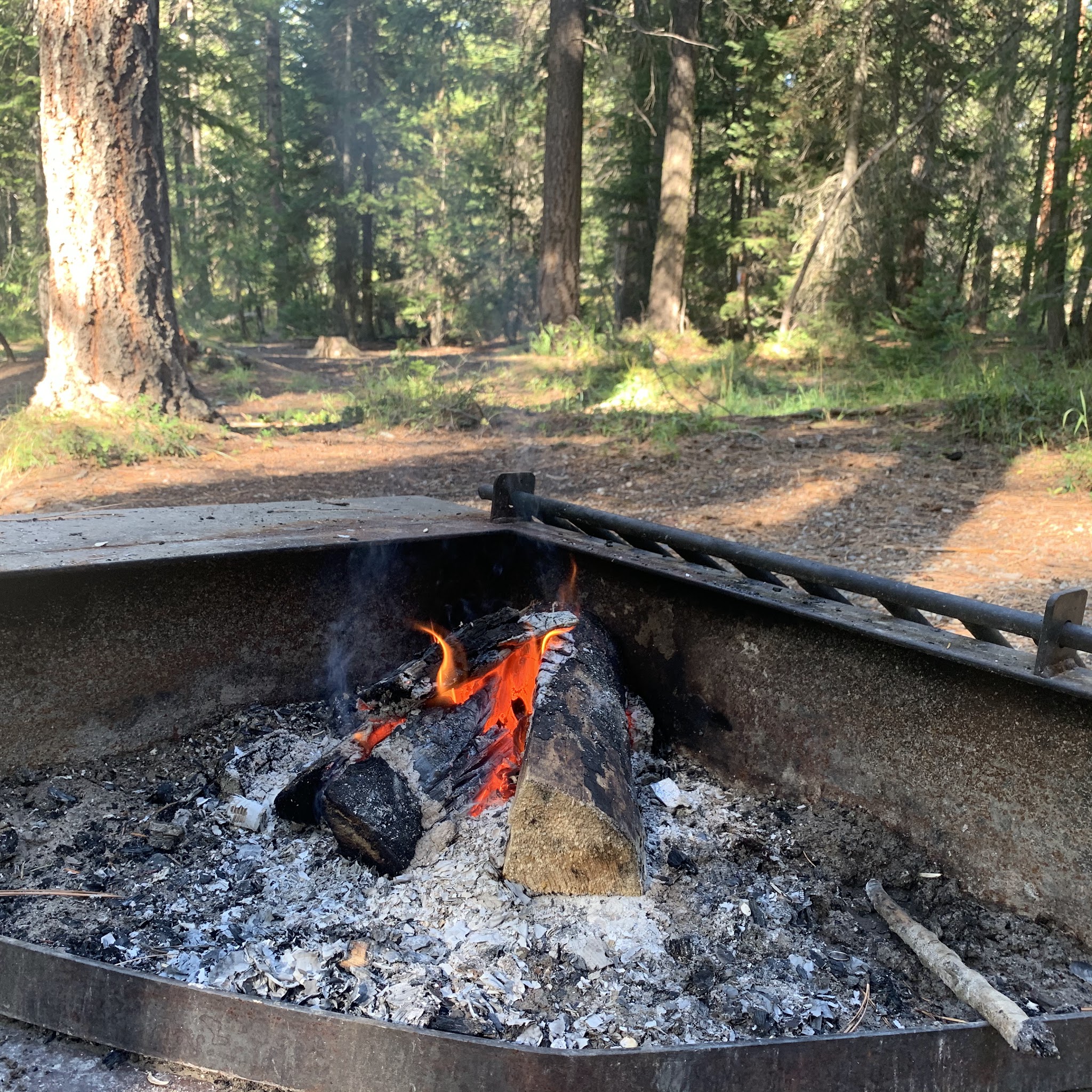 Poplar Flat Campground